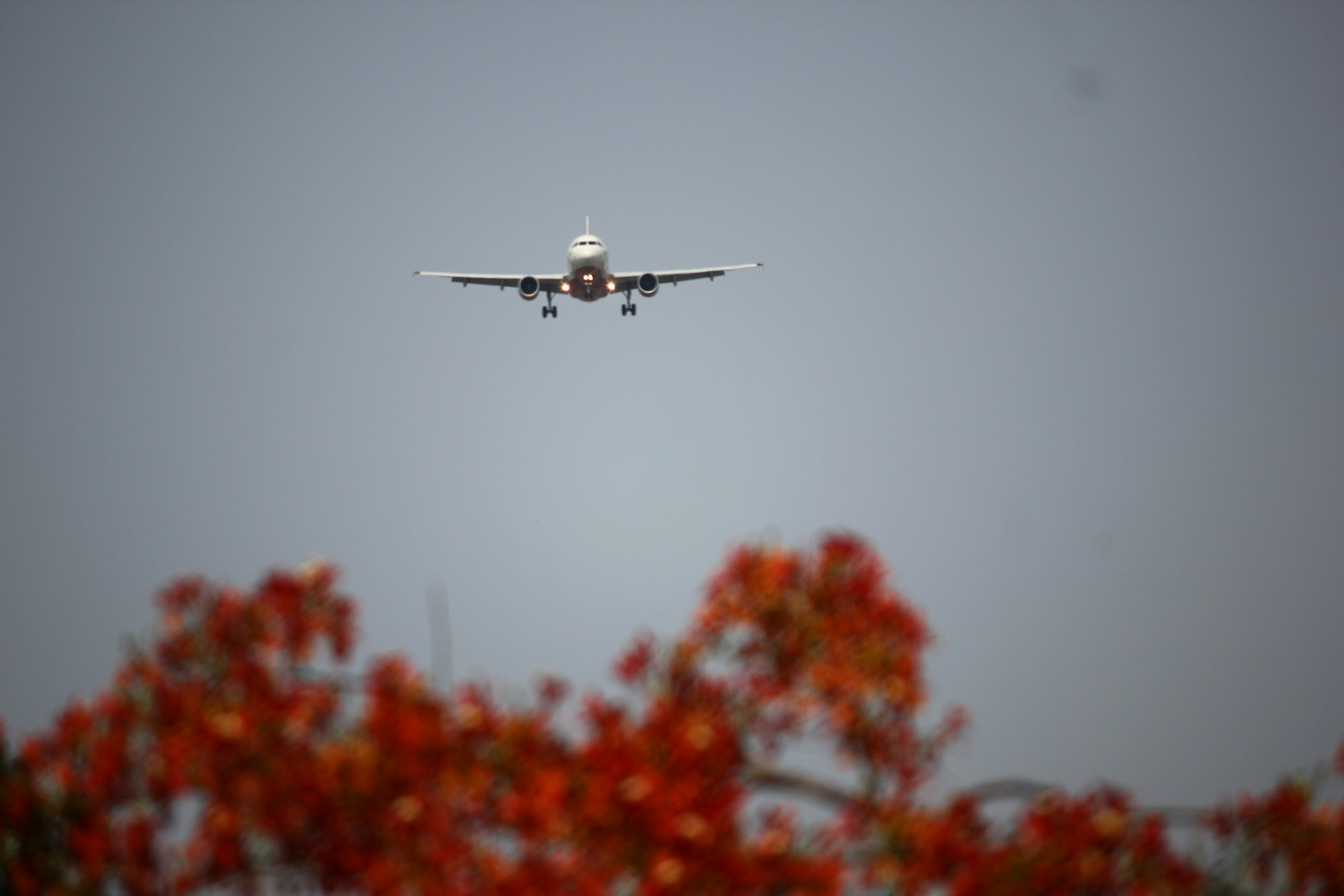 Free Unsplash photo from Zeeshan Shaikh