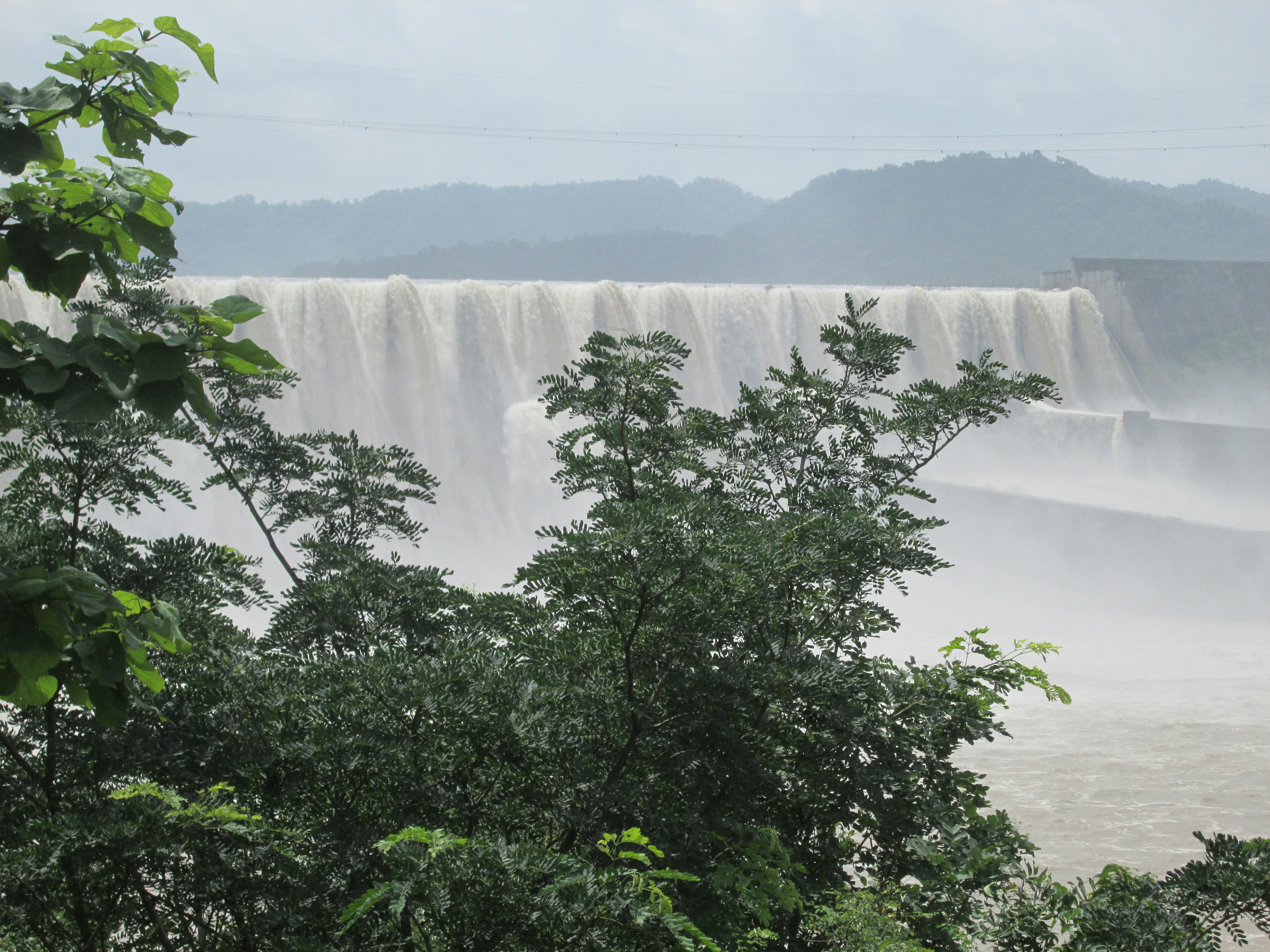 Free Unsplash photo from Sagar Ganatra