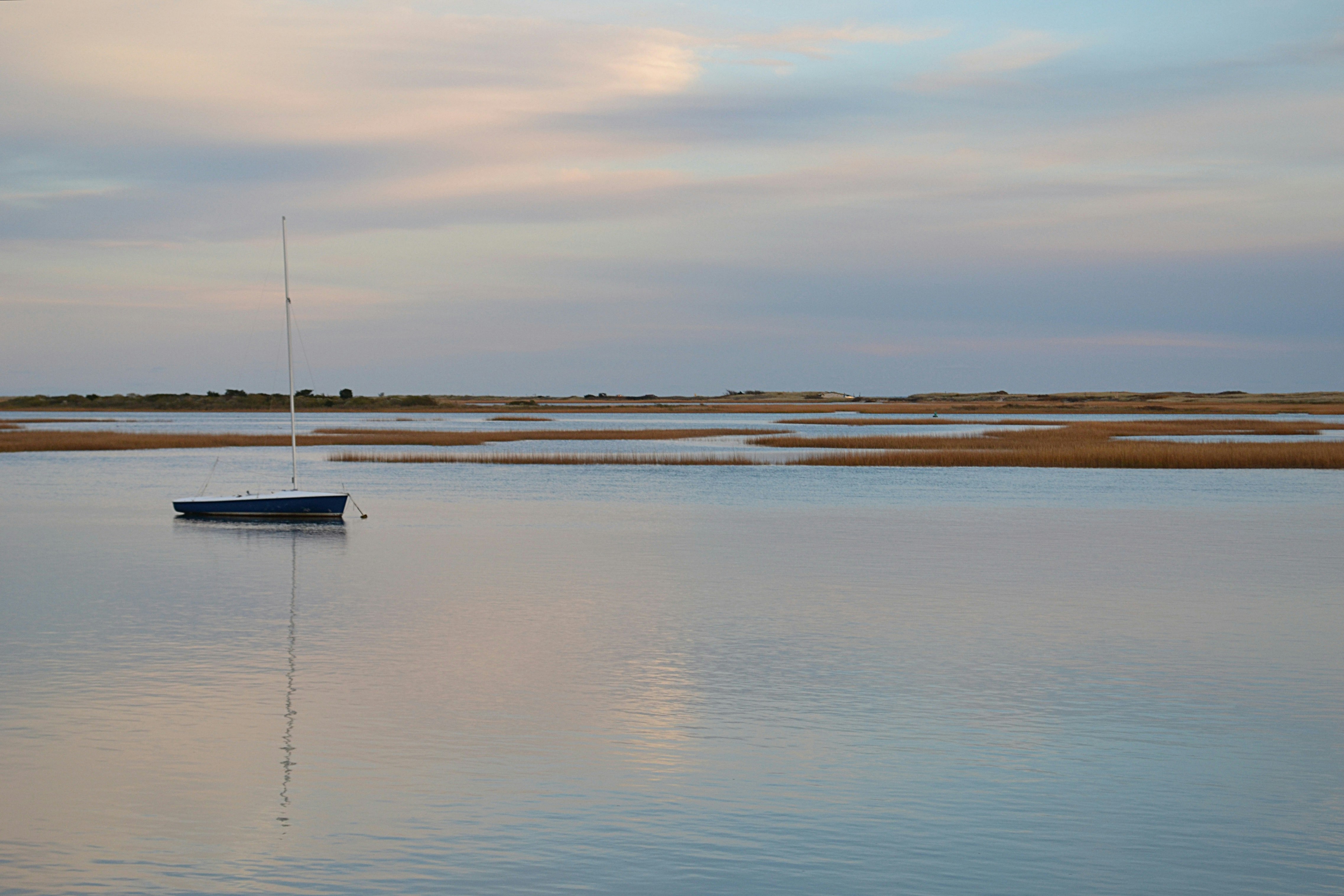 Free Unsplash photo from Kathleen Lyons