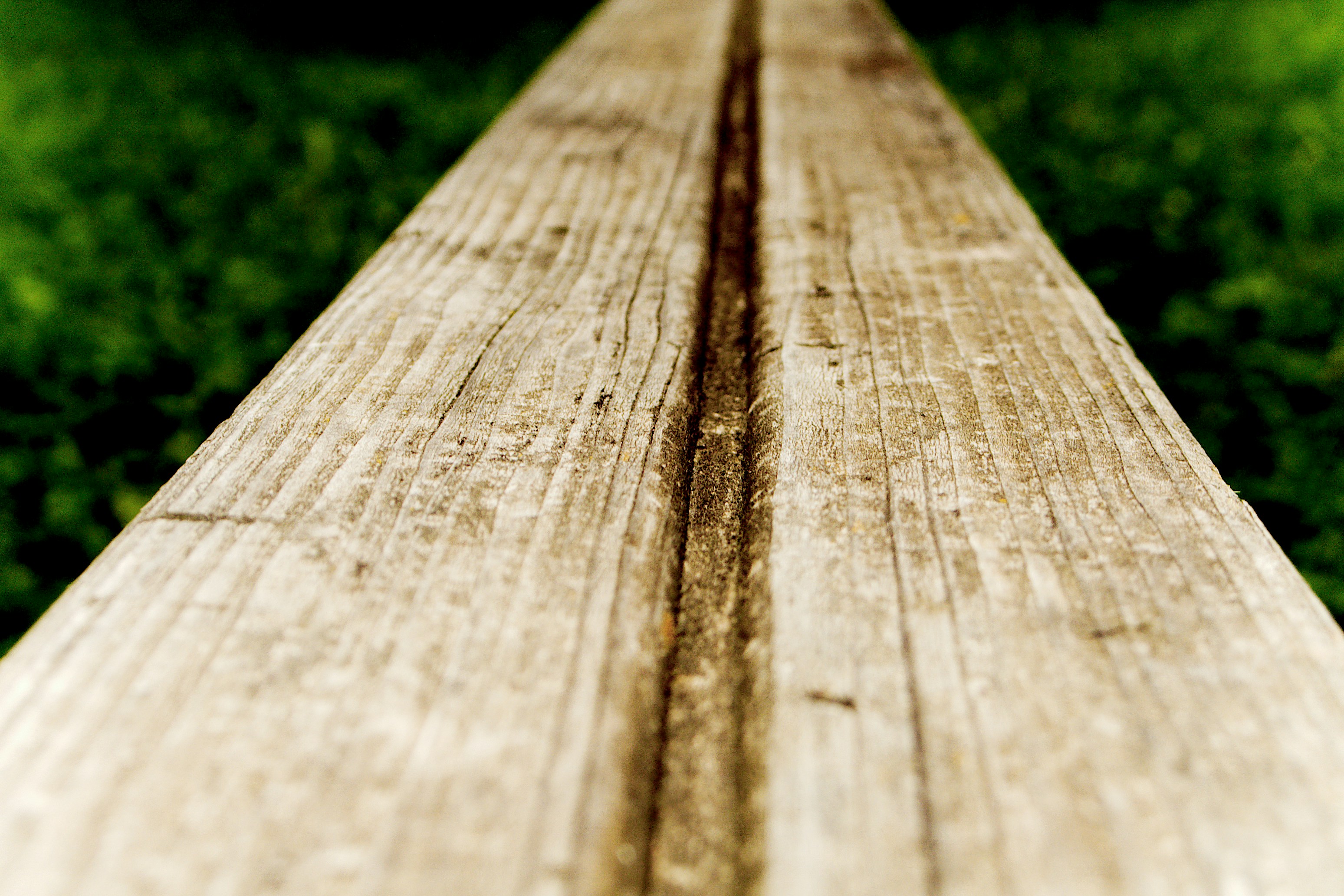 Free Unsplash photo from Umberto Cancedda