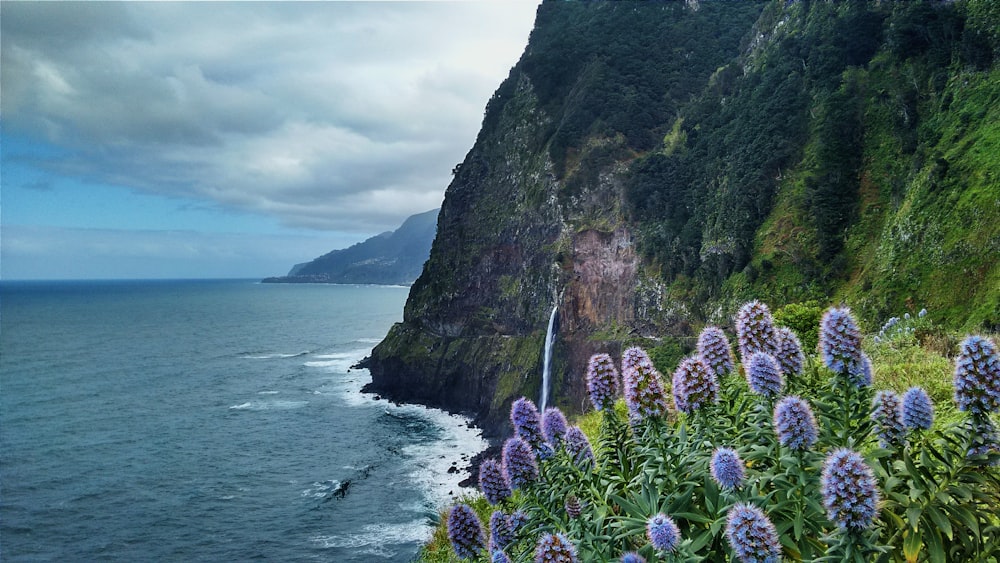 seashore near rocky mountain