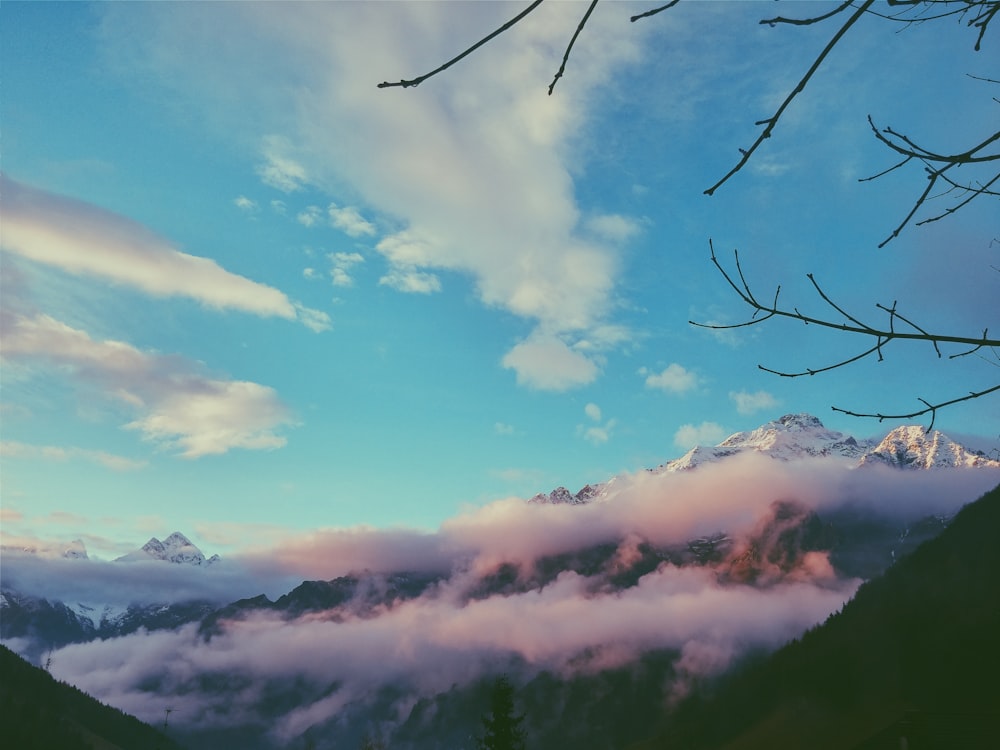 mar de nubes sobre la montaña durante el día