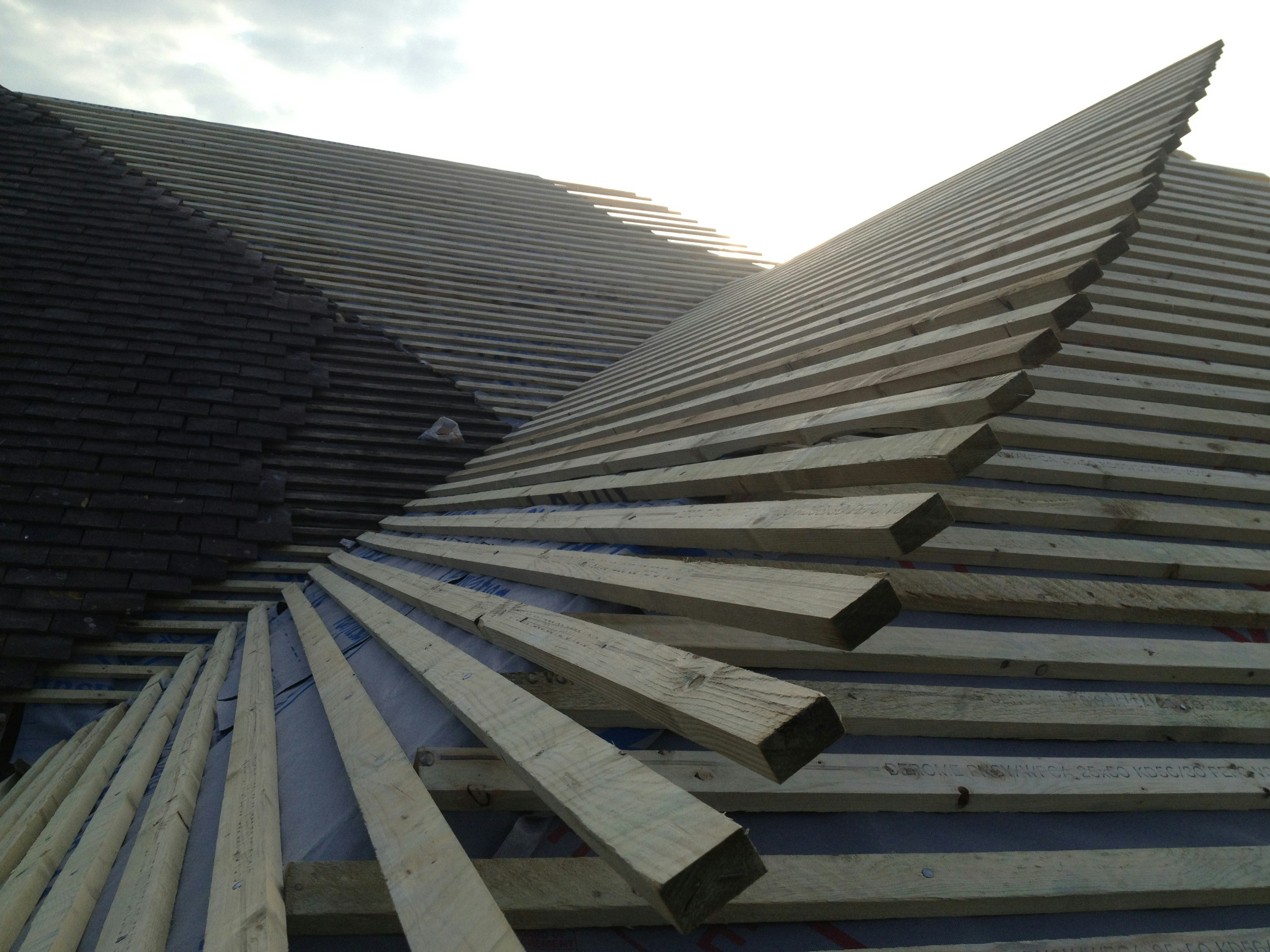 Free Unsplash photo from Matt Everitt