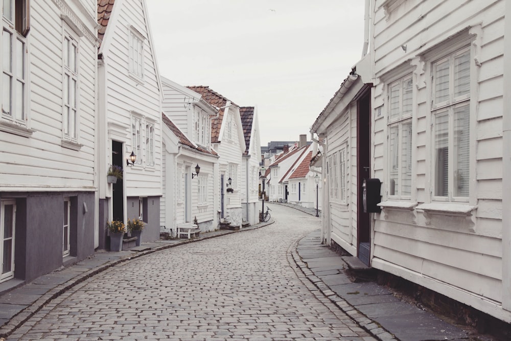 empty roadway in between houses at daytime