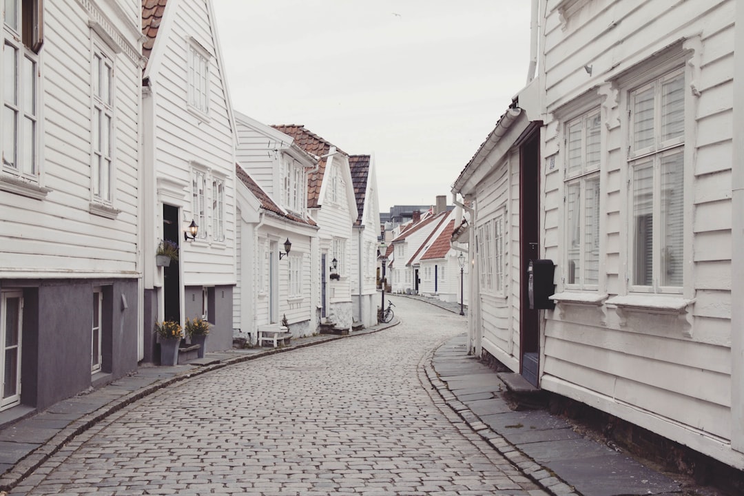 empty roadway in between houses at daytime, Single lane village street