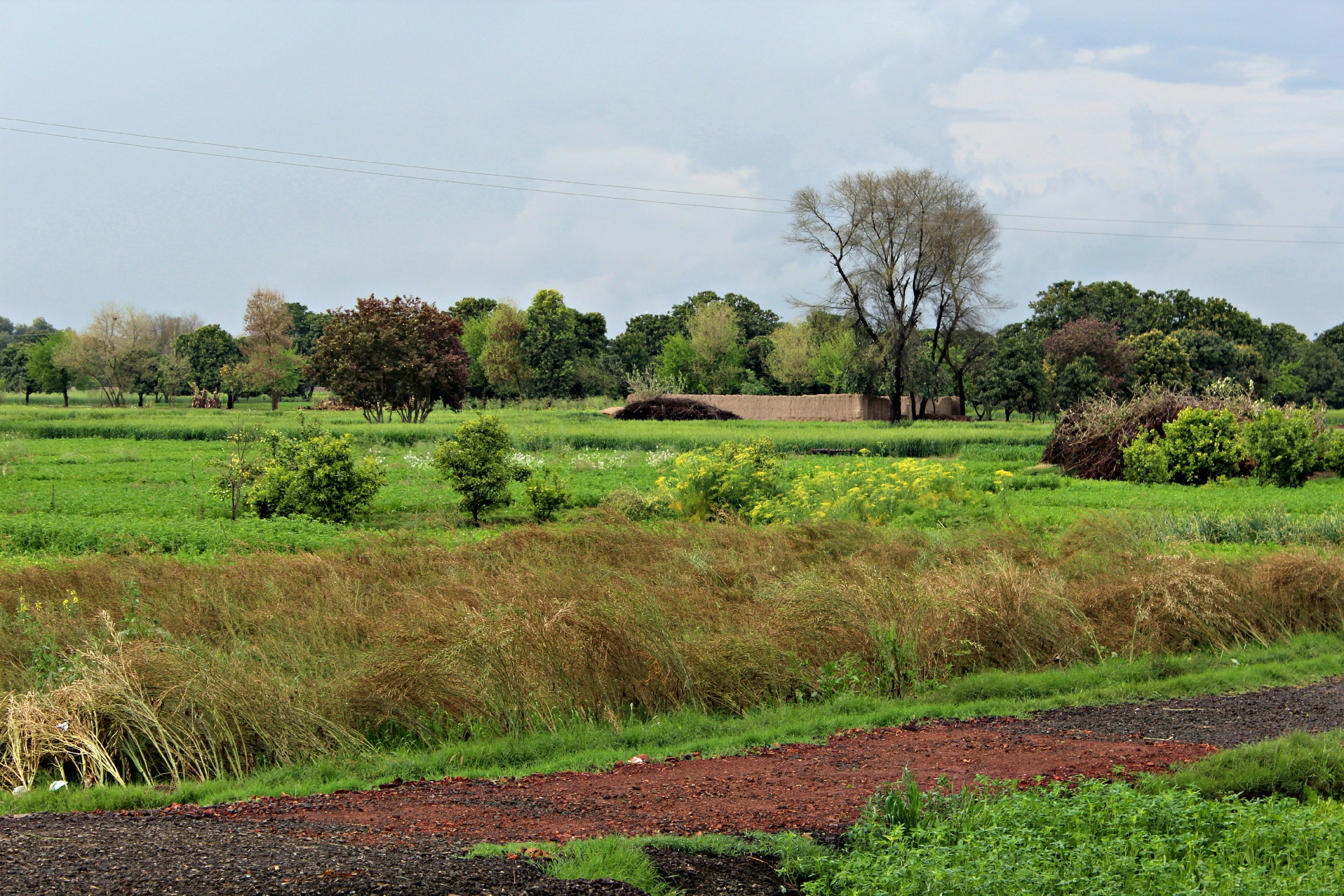 Free Unsplash photo from Furqan Farukh