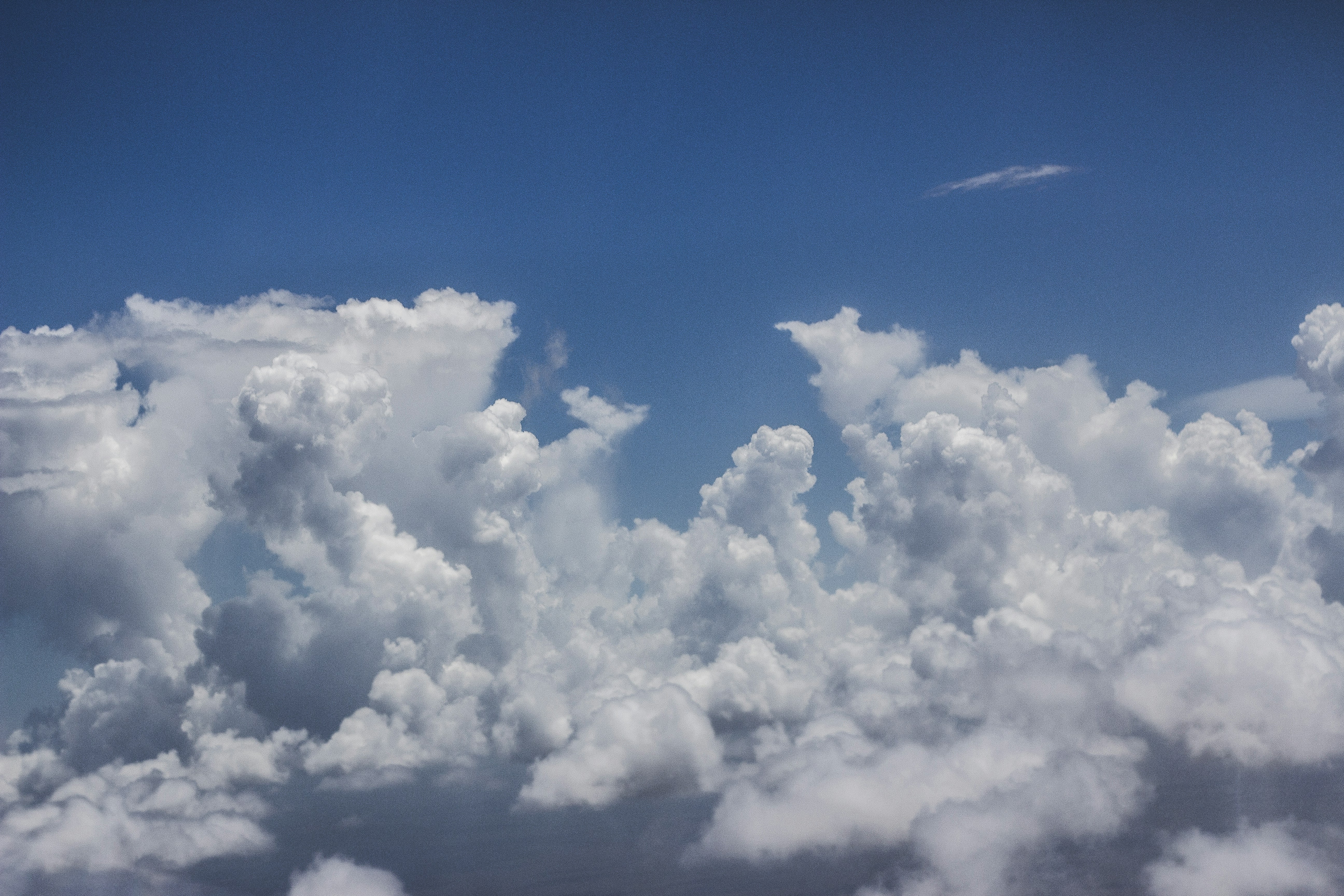 Free Unsplash photo from Alex Jones