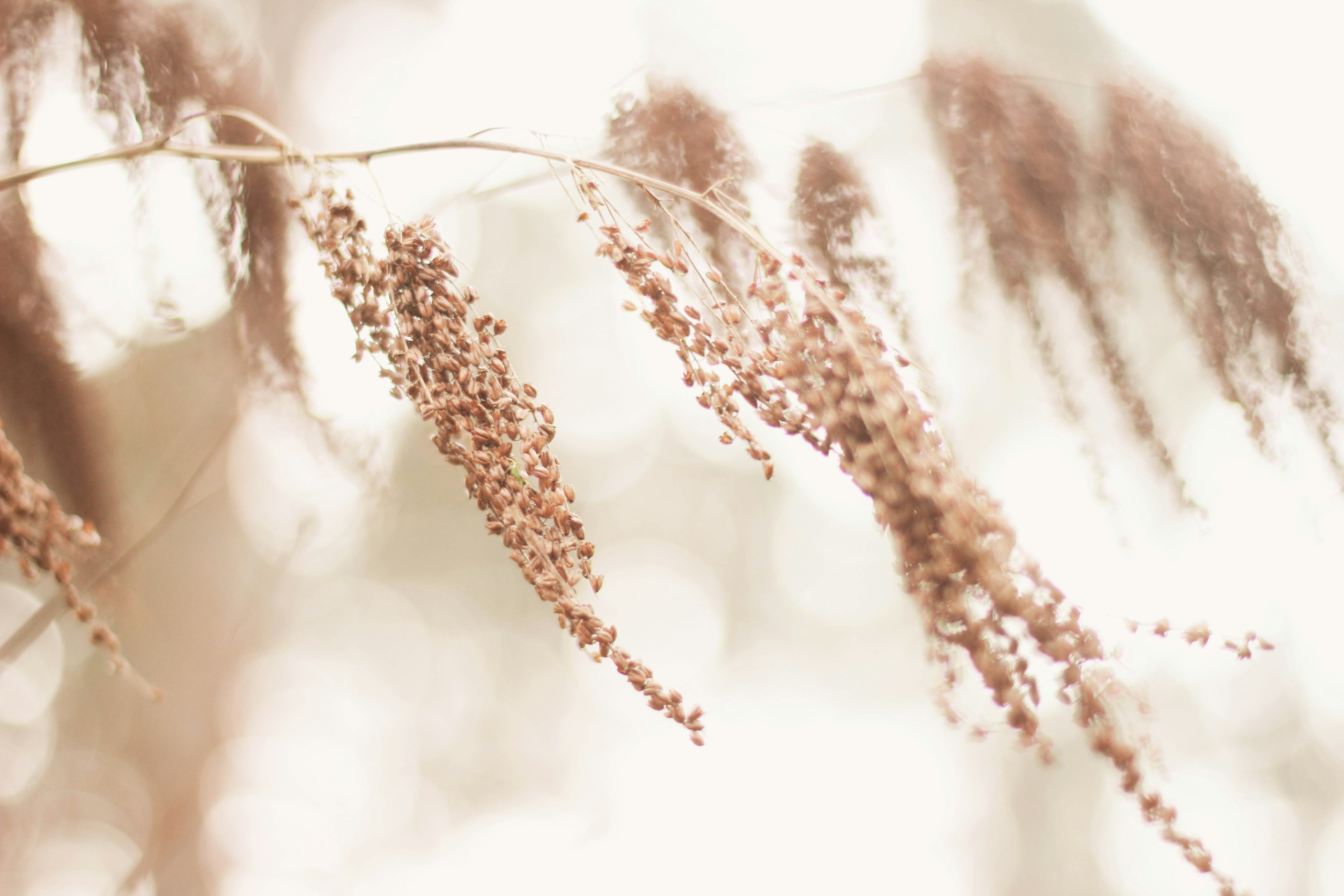 Free Unsplash photo from Felice Vagabonde