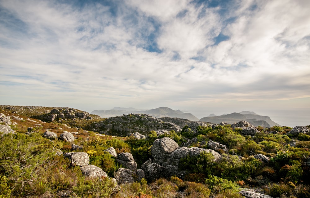 green bosh mountain landscape