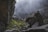 A group of people is hiking up a rocky, uneven path surrounded by towering rock formations and dense fog or mist. The scene is lush with patches of green grass sprouting from between the rocks, and the hikers are carrying backpacks as they ascend.