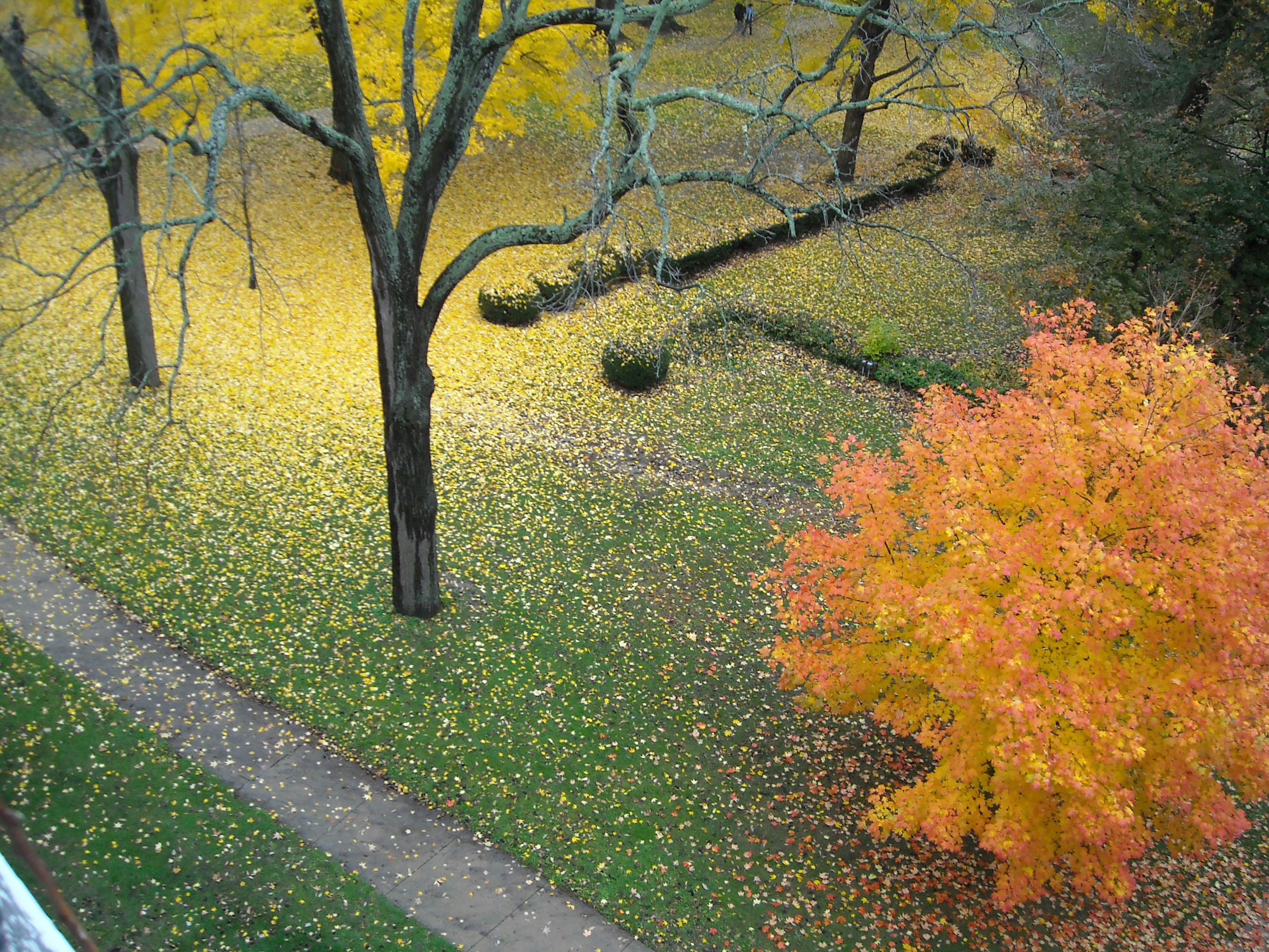 Free Unsplash photo from Tom Blosser