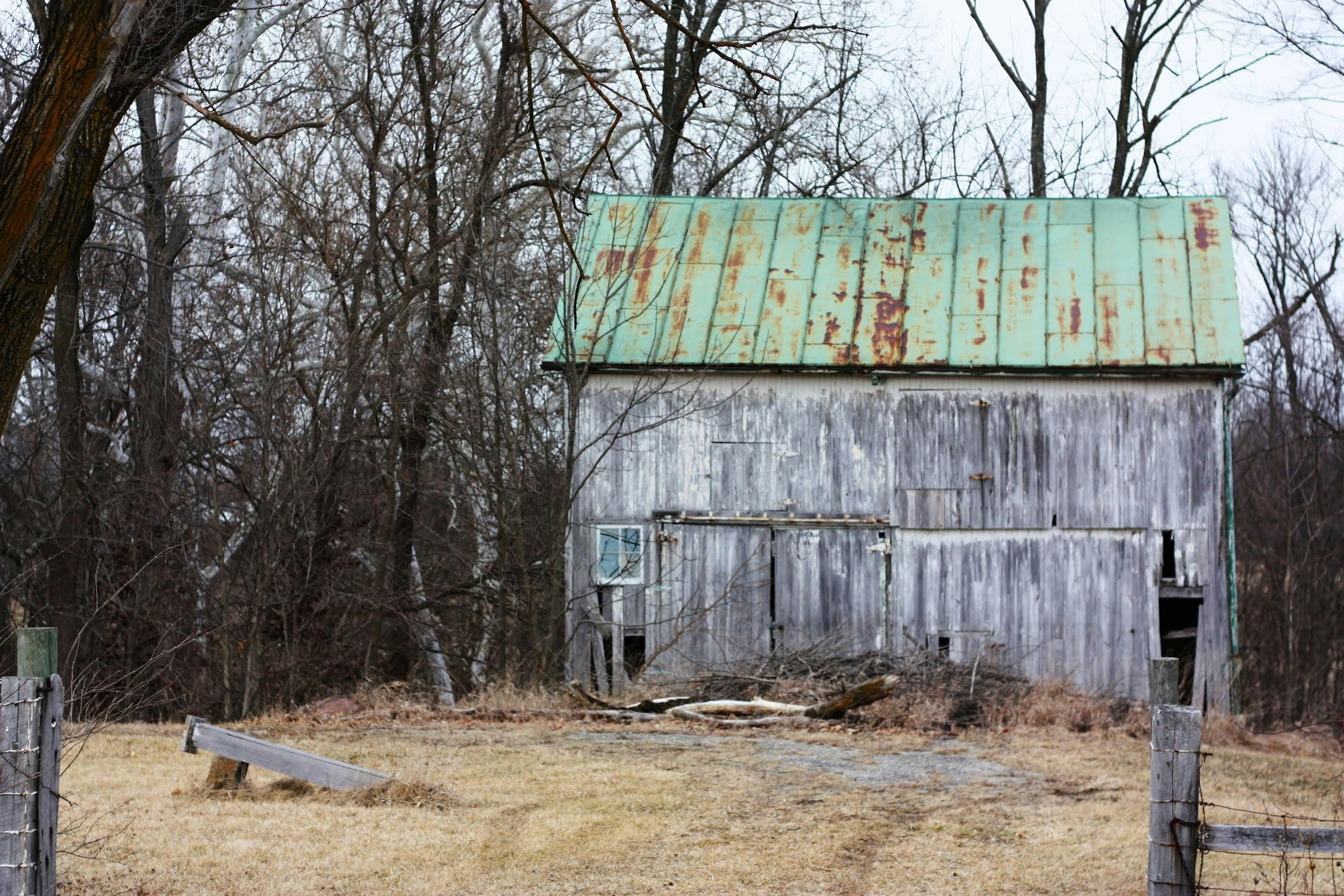 Free Unsplash photo from Tom Blosser