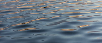 Ripple effect on a glass surface reflecting soft morning light.