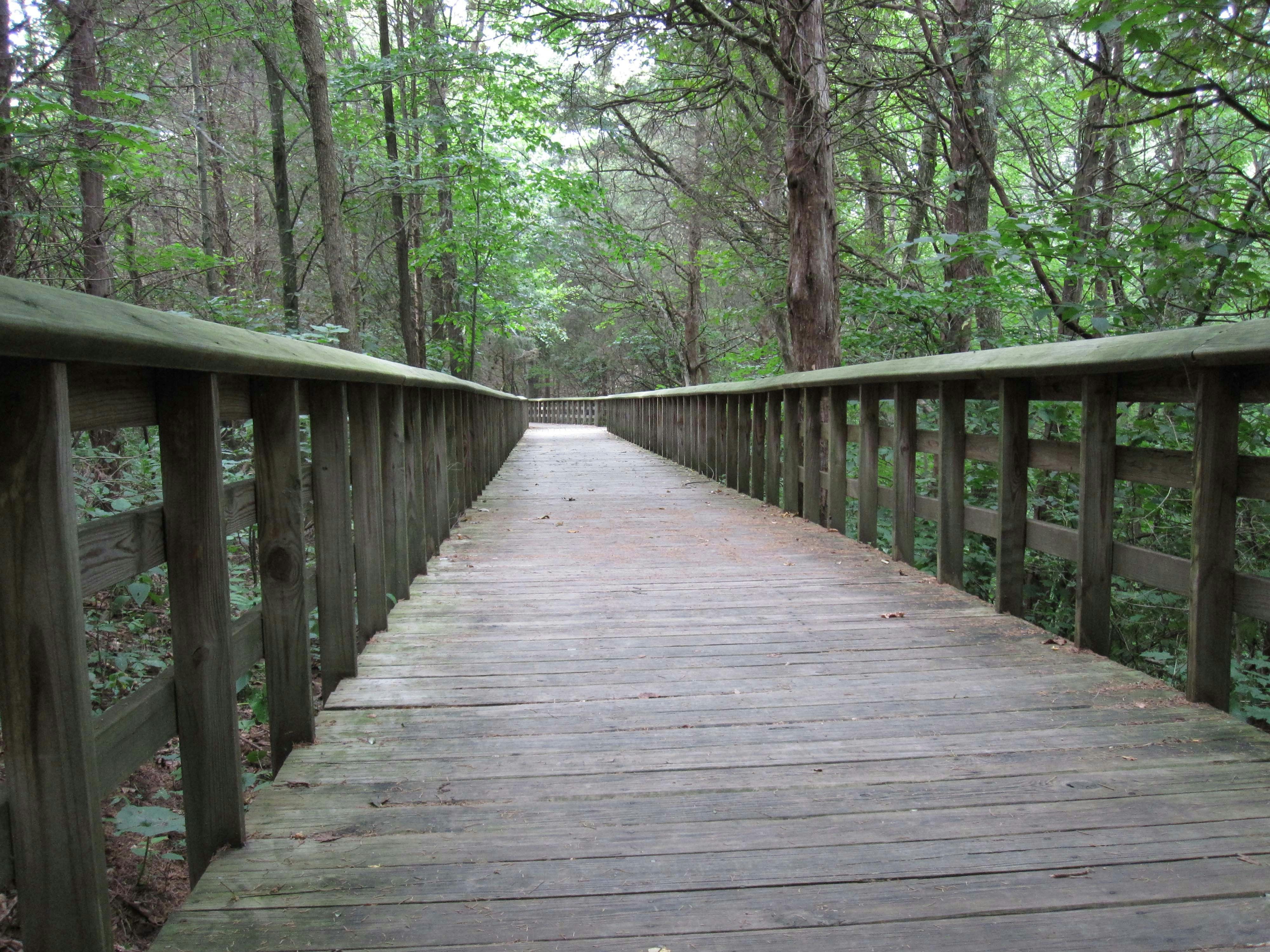 Free Unsplash photo from Tom Blosser