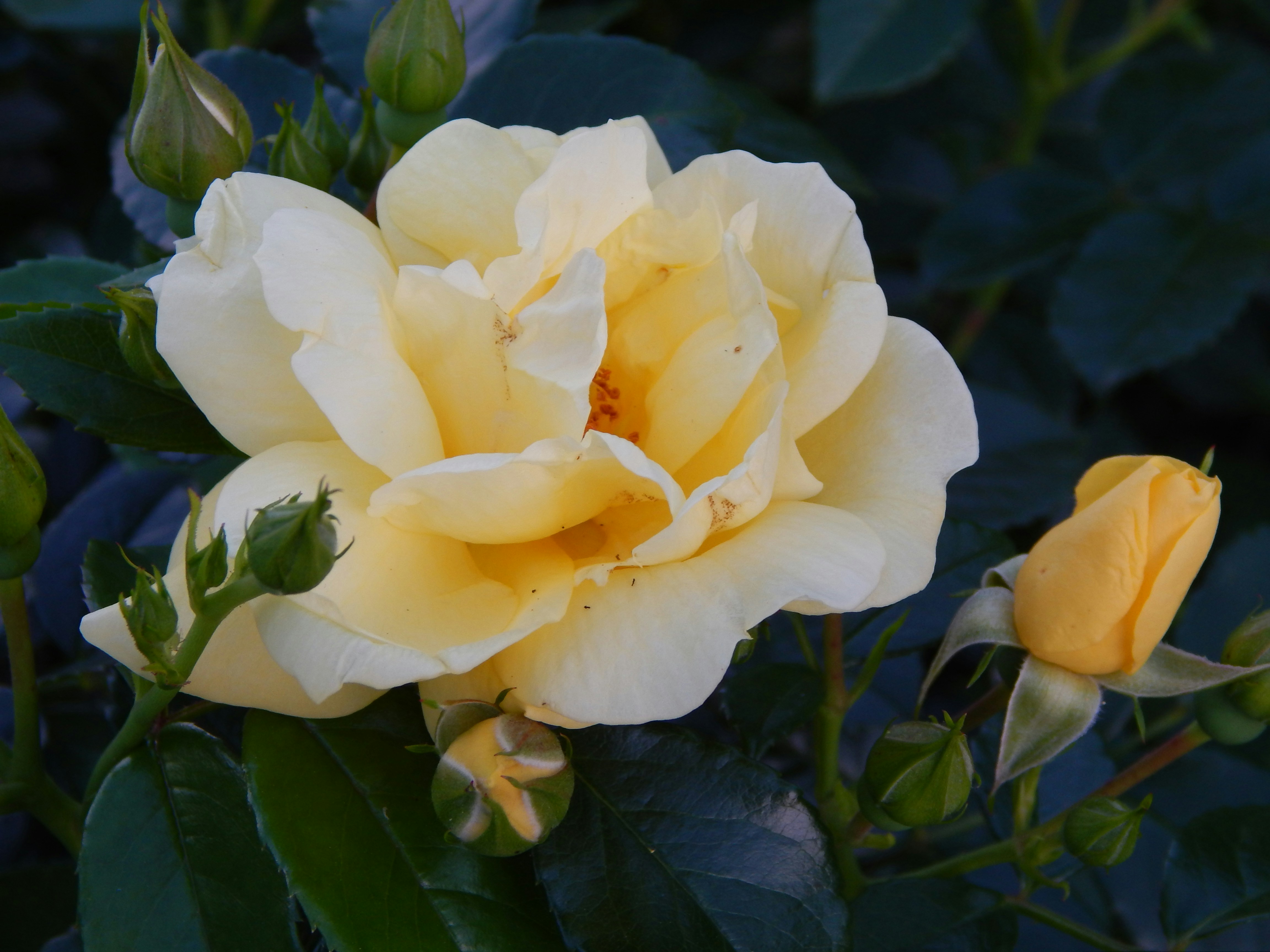 Free Unsplash photo from Janalee Walter