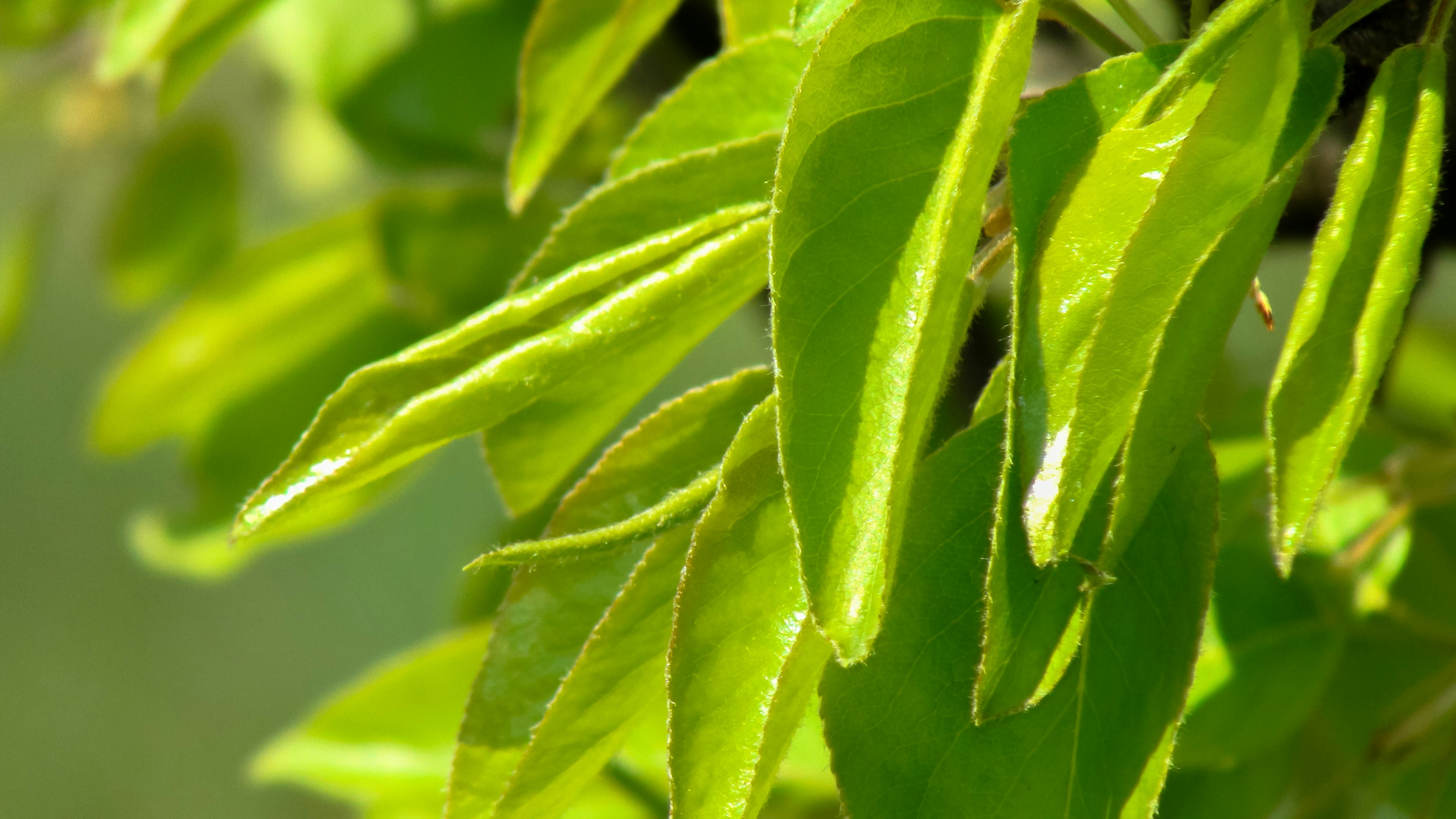 Free Unsplash photo from Elena Ilyinskaya