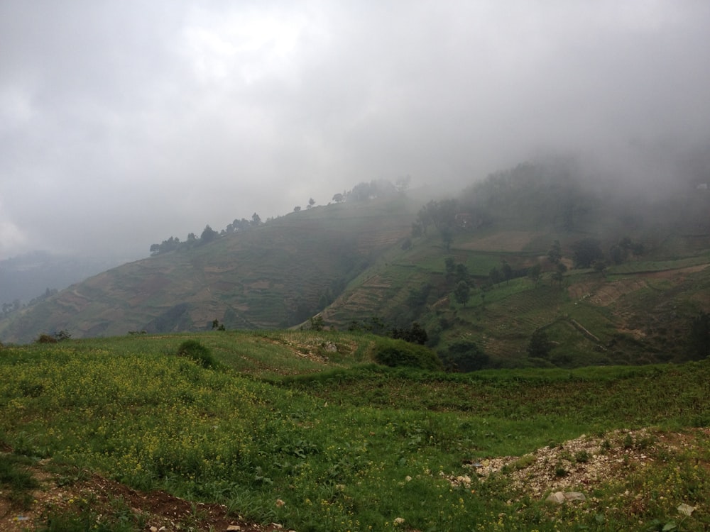 mountain covered with fog