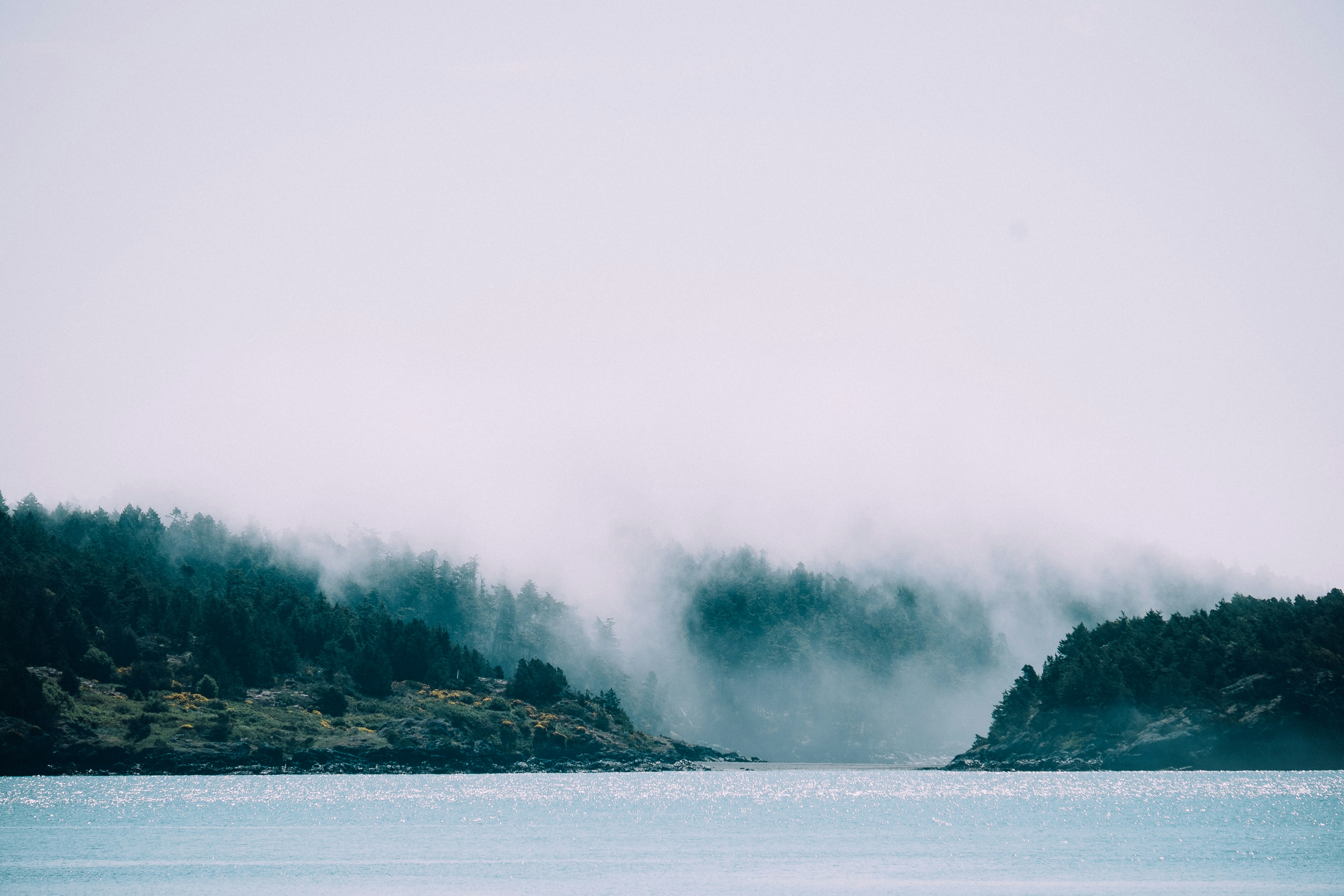 Foggy hills by the ocean