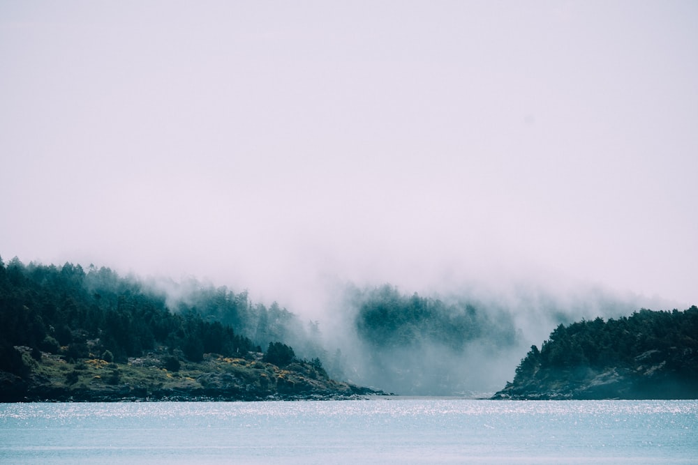 body of water covered with fog