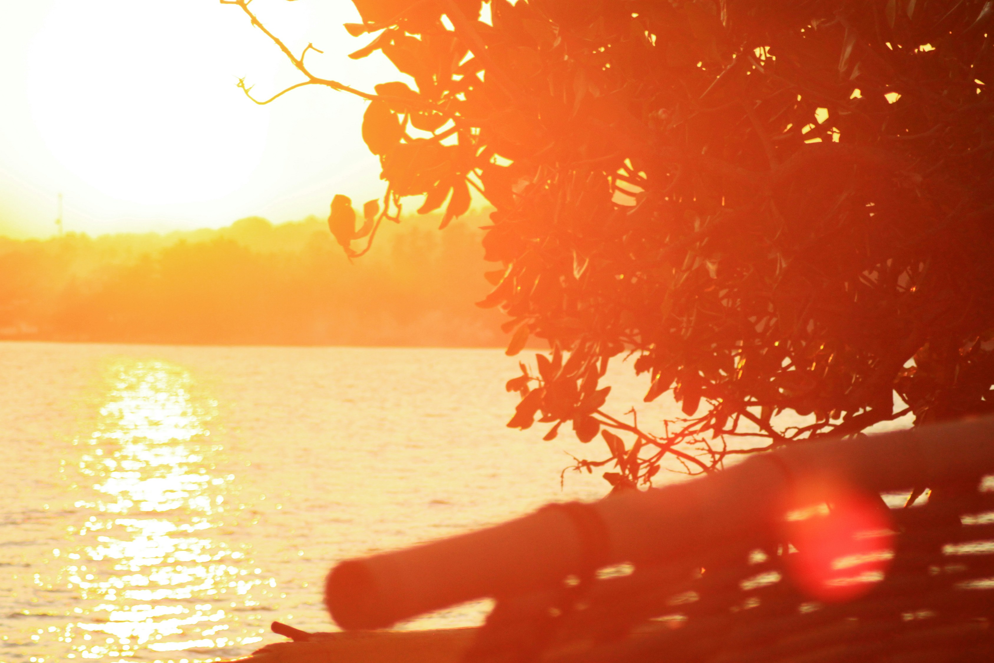 Желтое солнце. Солнцем напоенное. Солнце. Солнцем напоенное. Эстетика пьяное солнце.