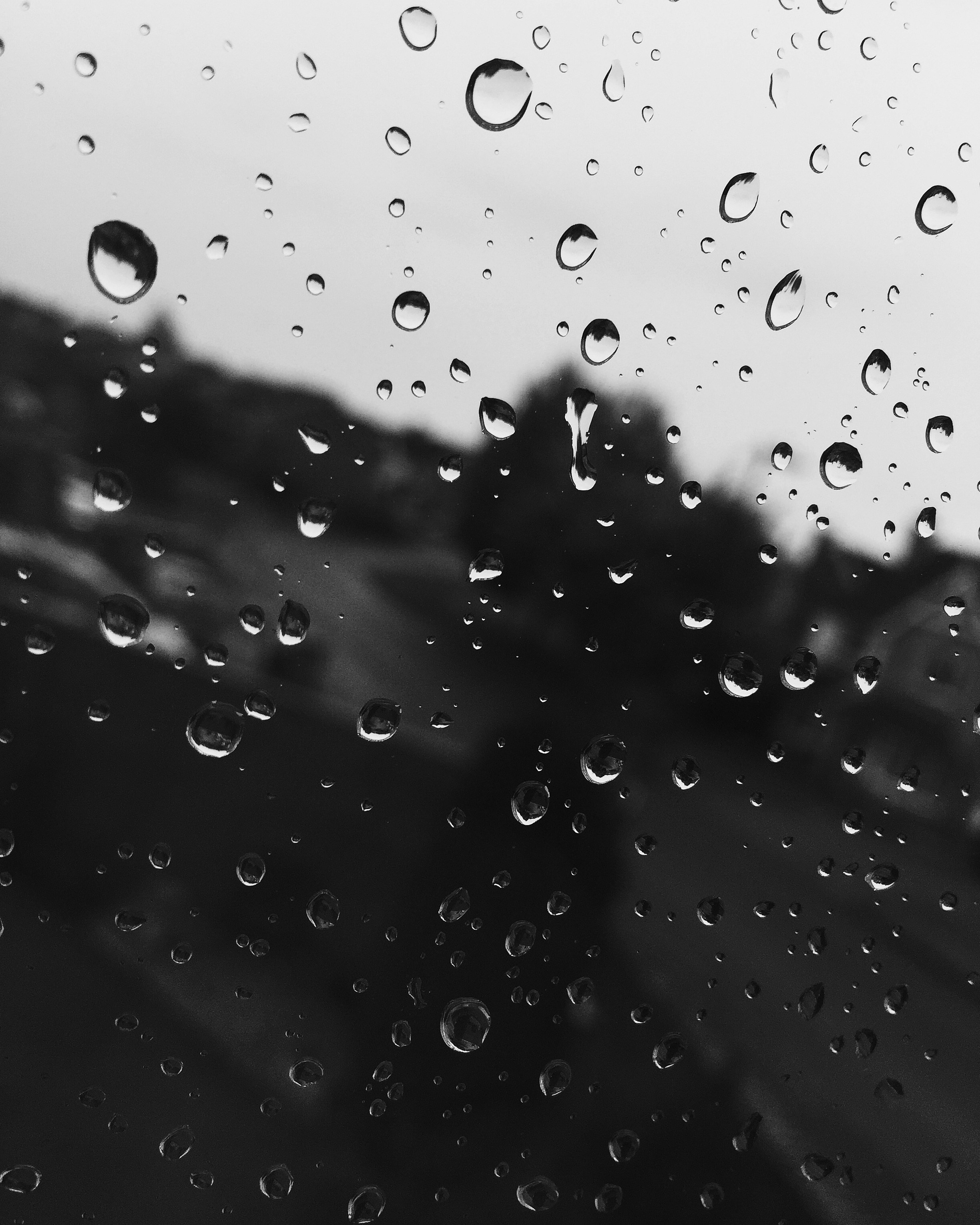 Free Unsplash photo from Oliver Kilding