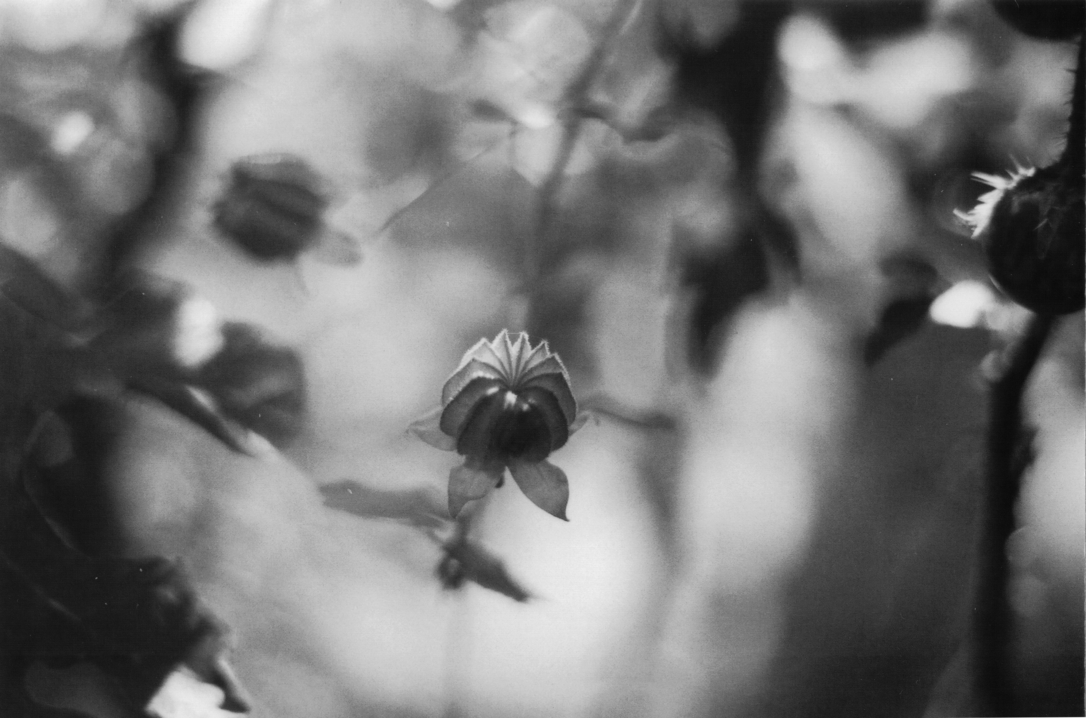 Photo By Rosan Harmens