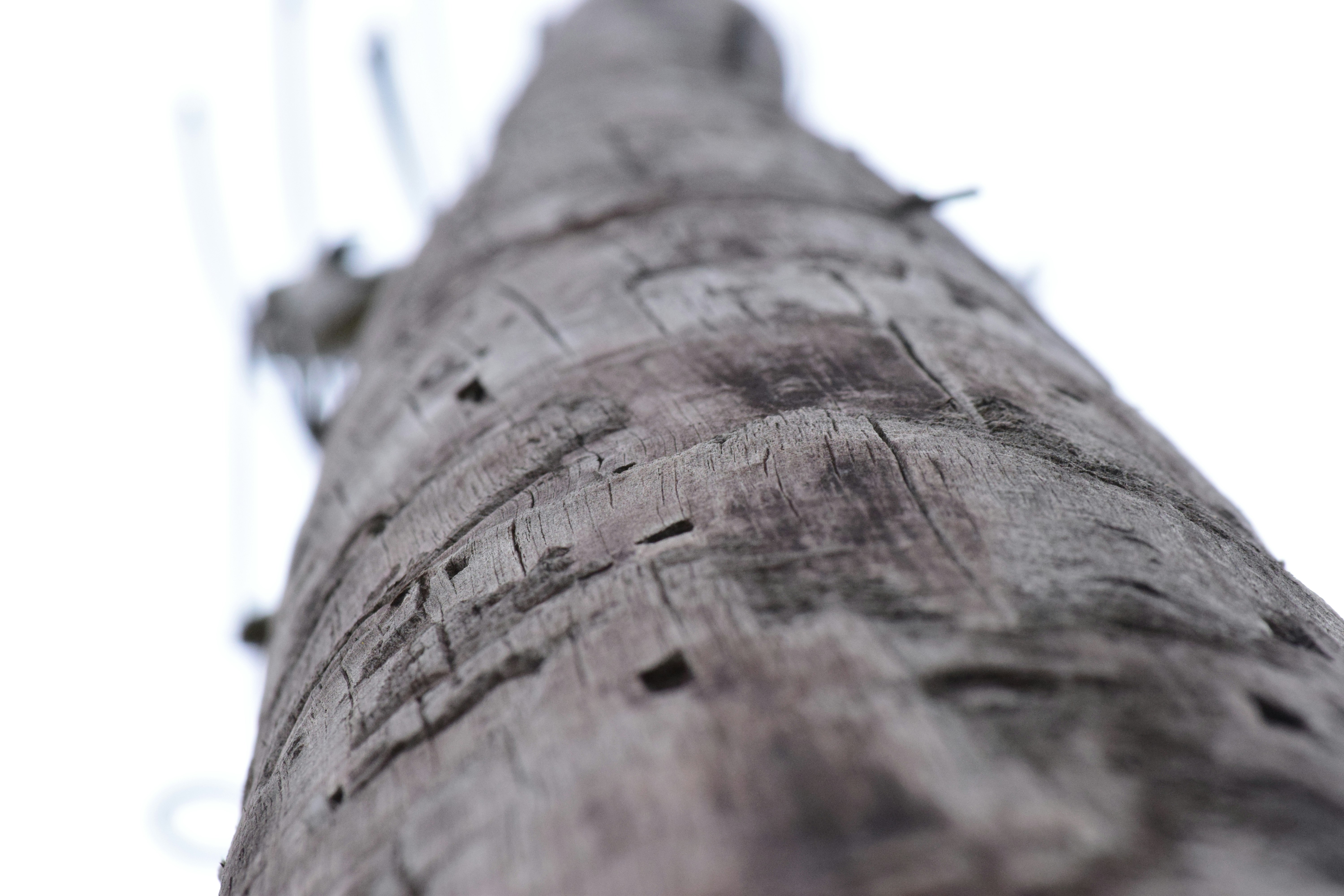 Free Unsplash photo from Sophia Nicholas