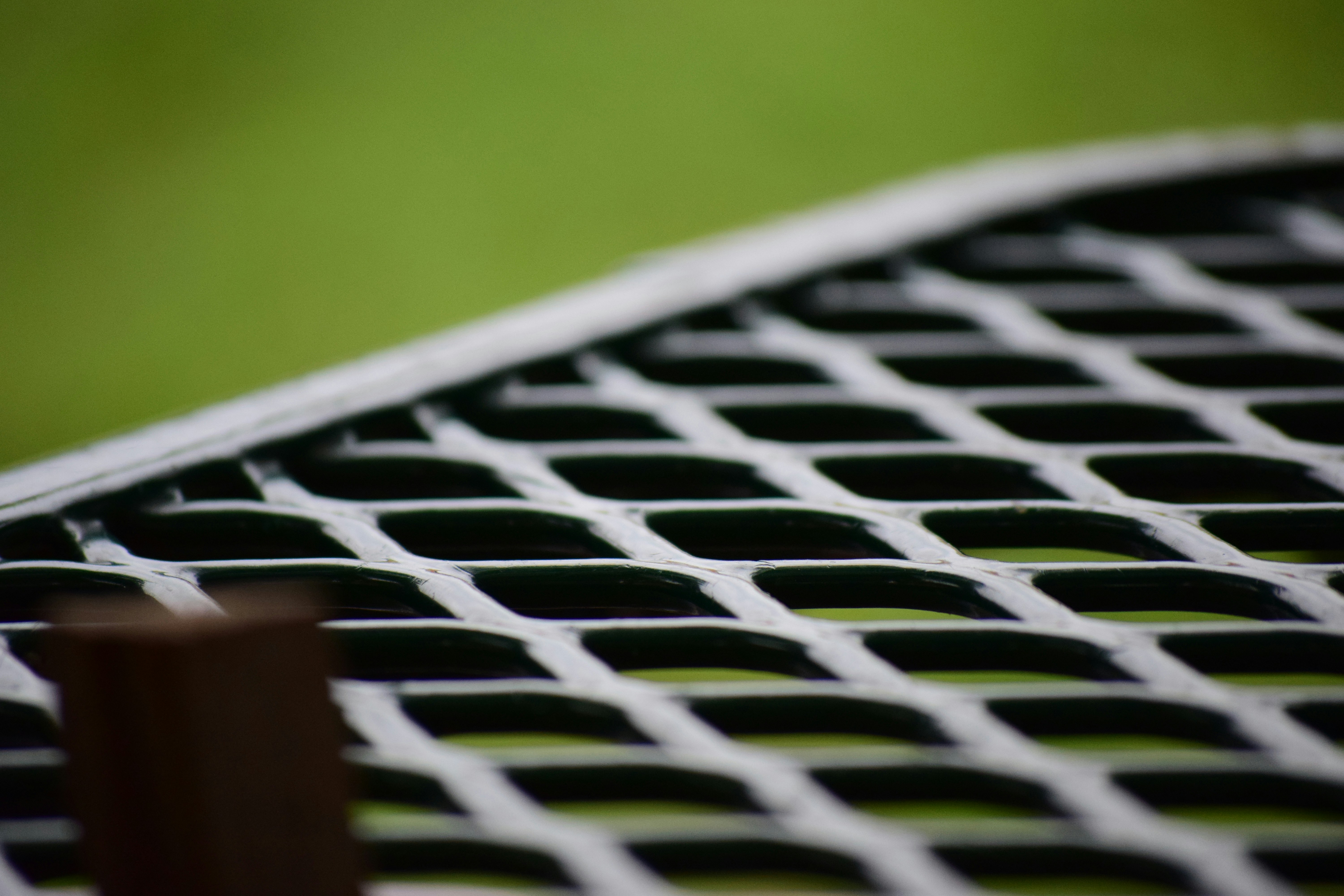 Free Unsplash photo from Sophia Nicholas