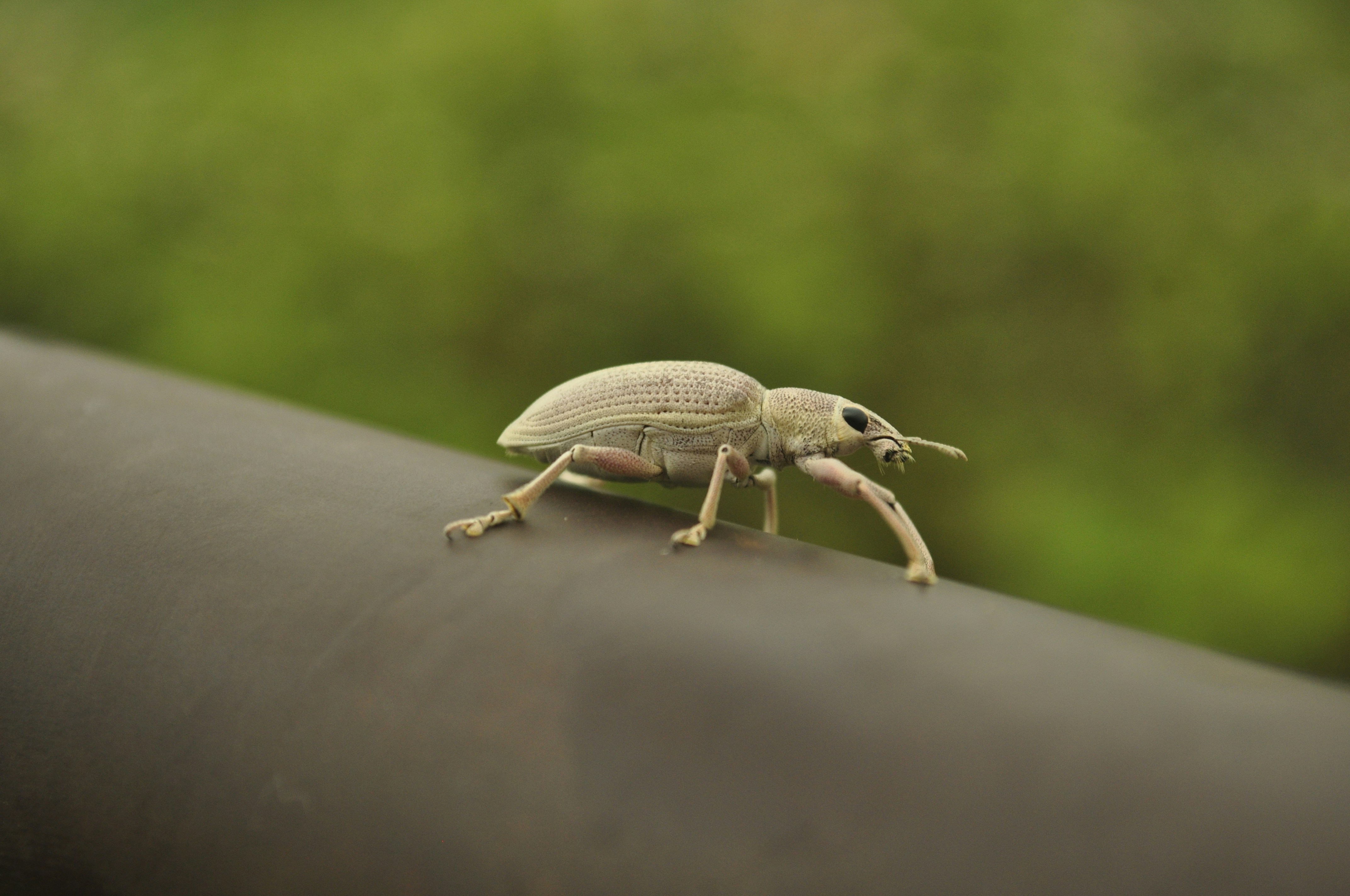 Free Unsplash photo from Kaung Myat Lwin