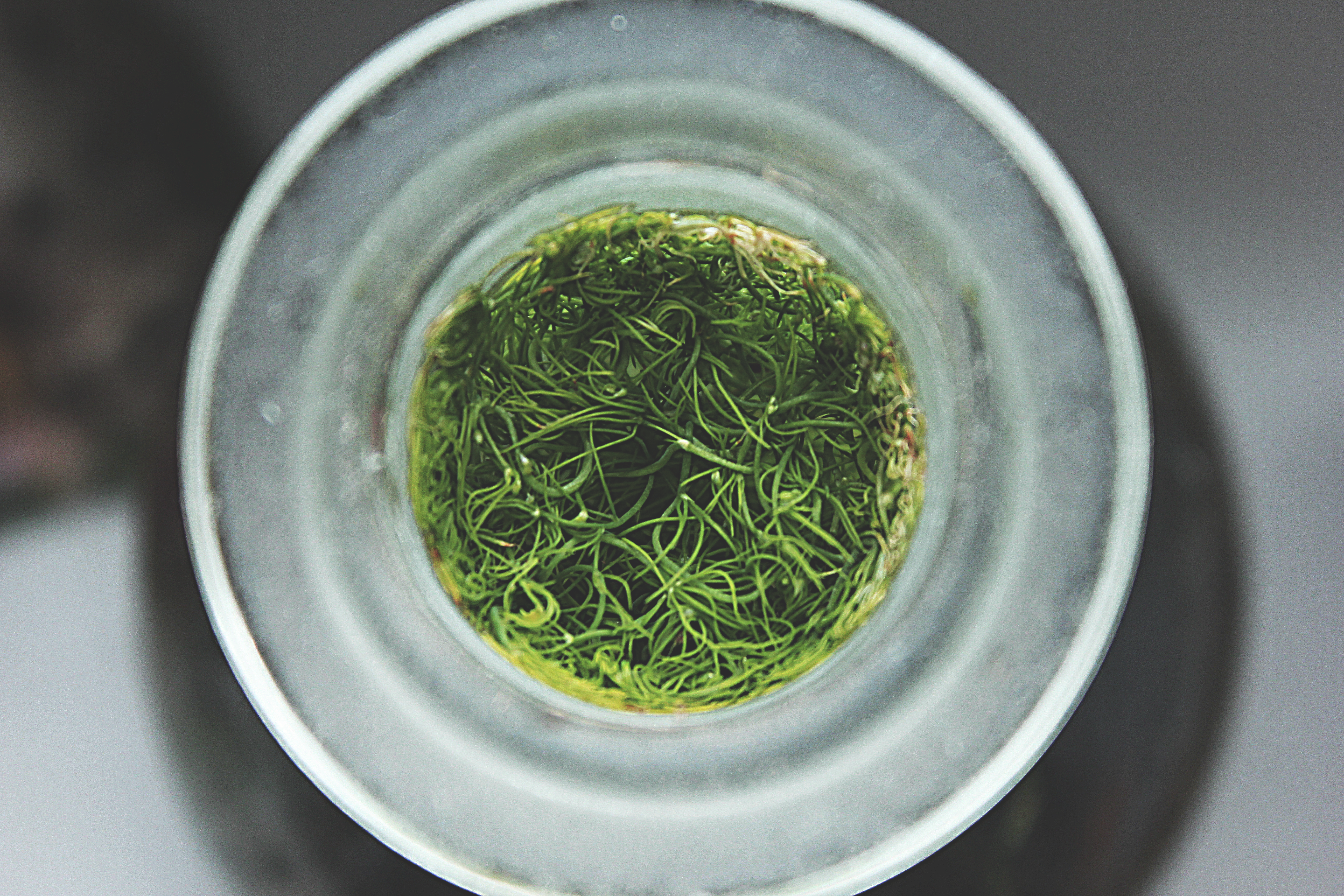 Free Unsplash photo from Boriskin Vladislav