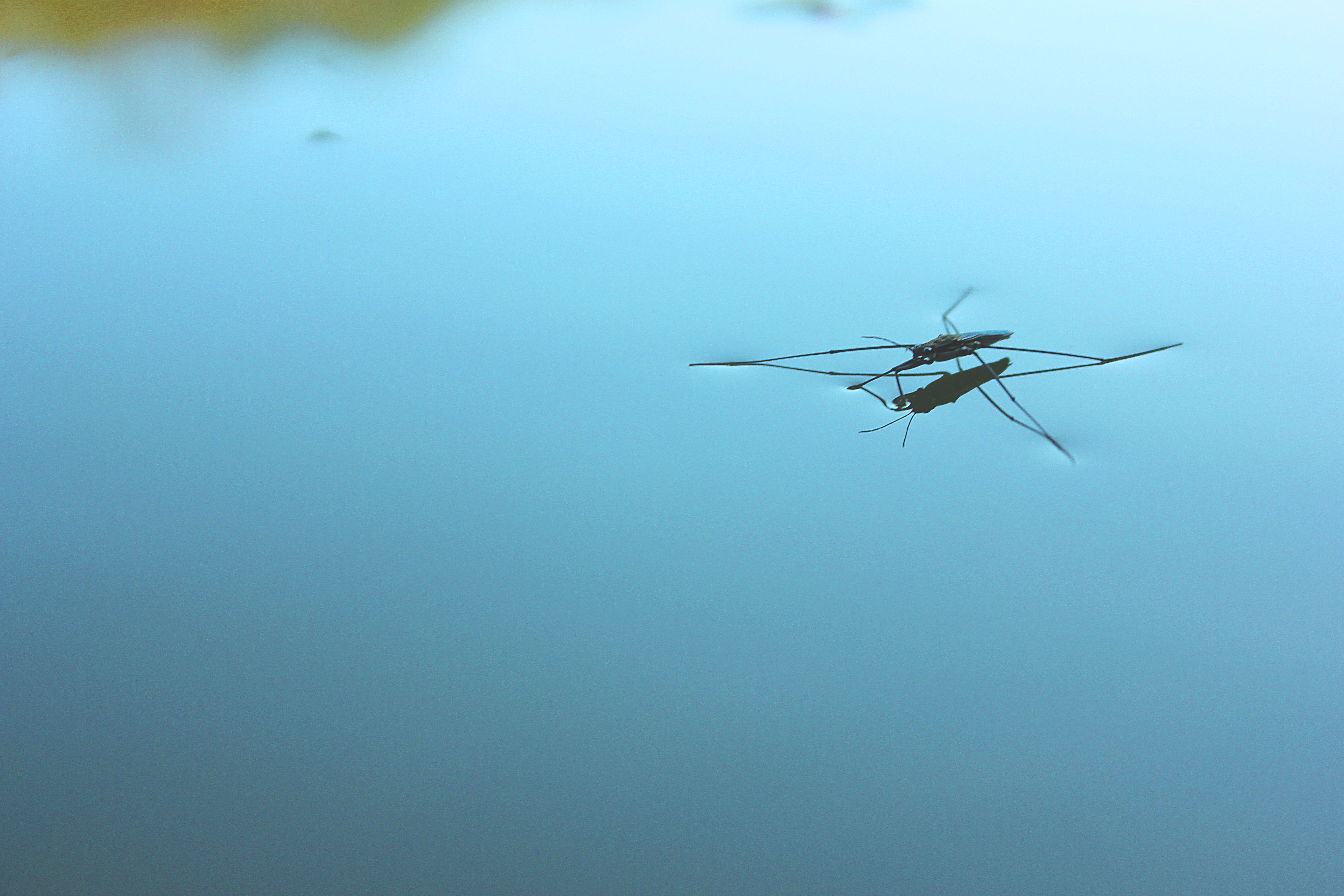 Free Unsplash photo from Boriskin Vladislav