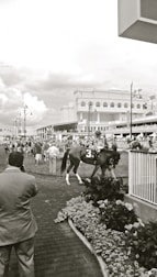 Crowd cheering excitedly at a horse racing event under bright stadium lights.