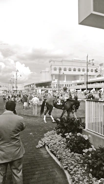 A vibrant photo capturing horses sprinting down the track with excited spectators cheering in the background.