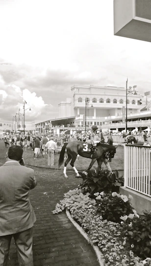 A vibrant photo capturing horses sprinting down the track with excited spectators cheering in the background.