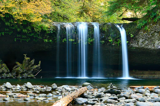 Cachoeira caindo em poço cristalino cercado de natureza