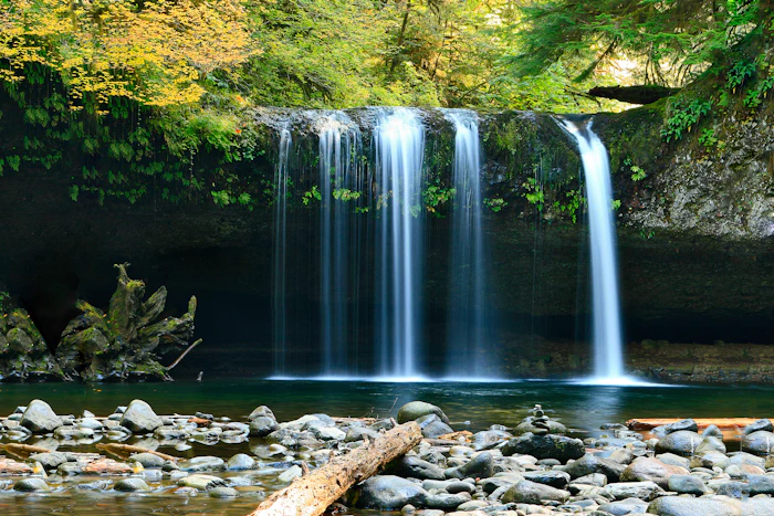 Cascade au milieu de la nature