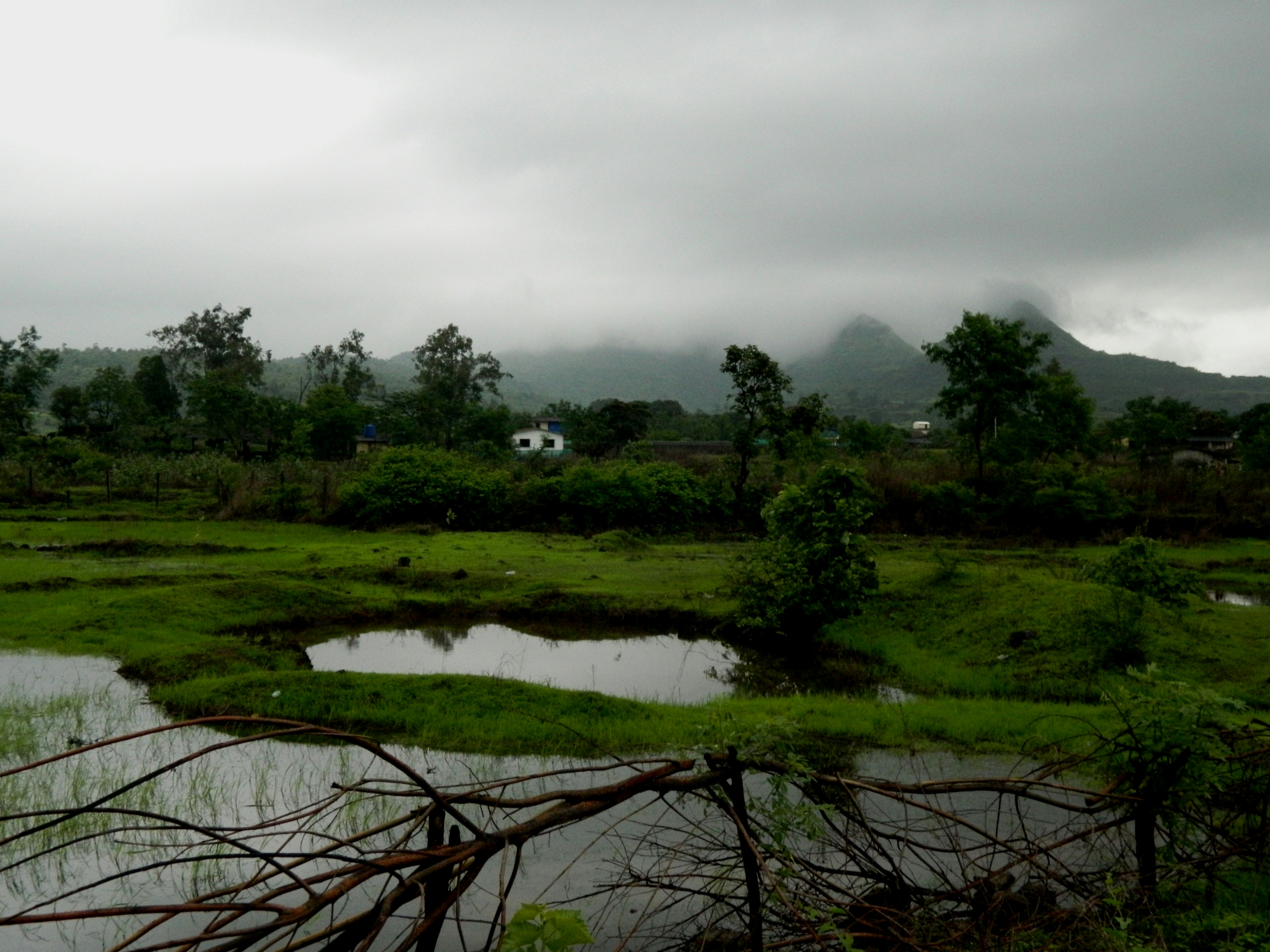 Free Unsplash photo from Manoj Gupta