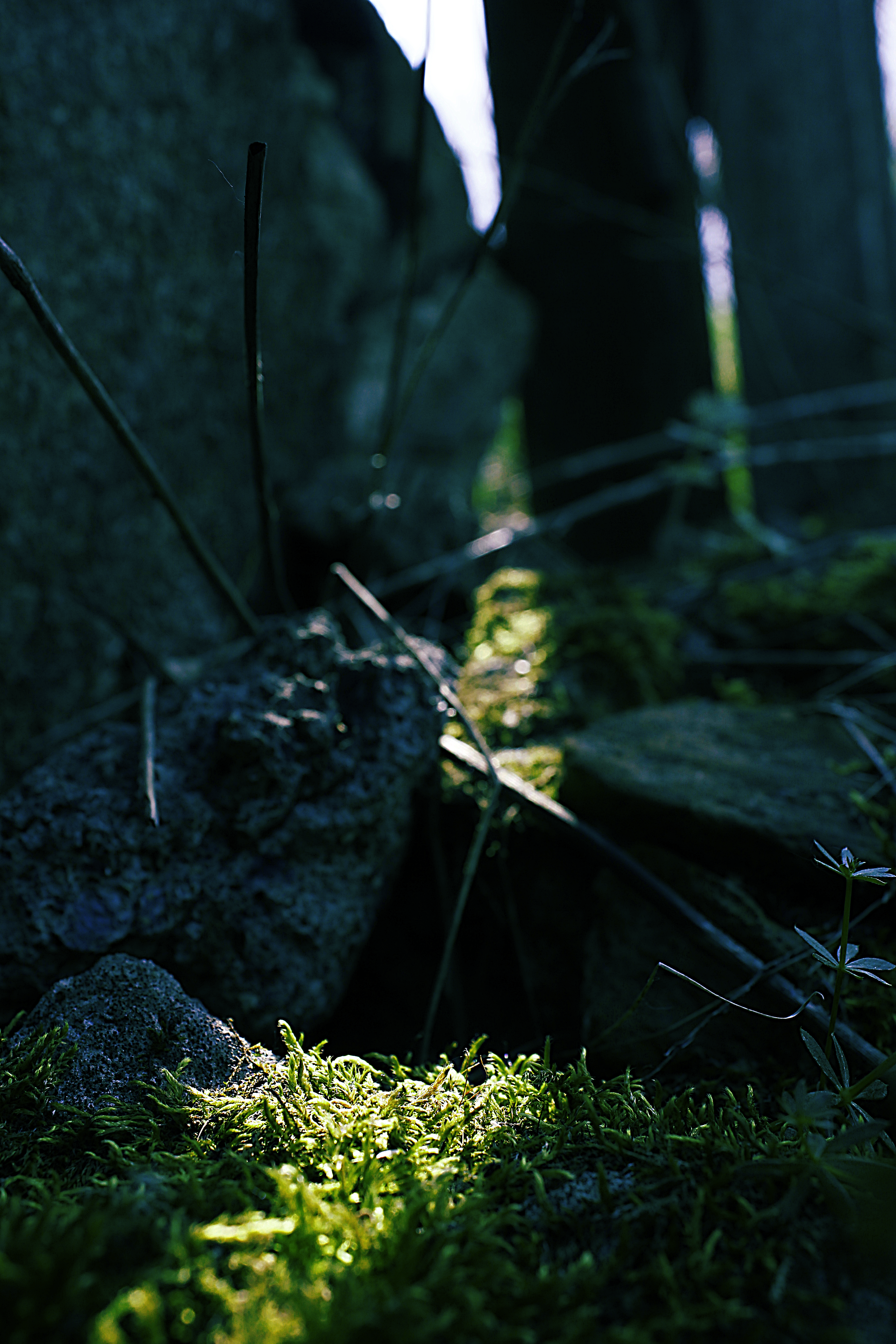 Free Unsplash photo from Boriskin Vladislav