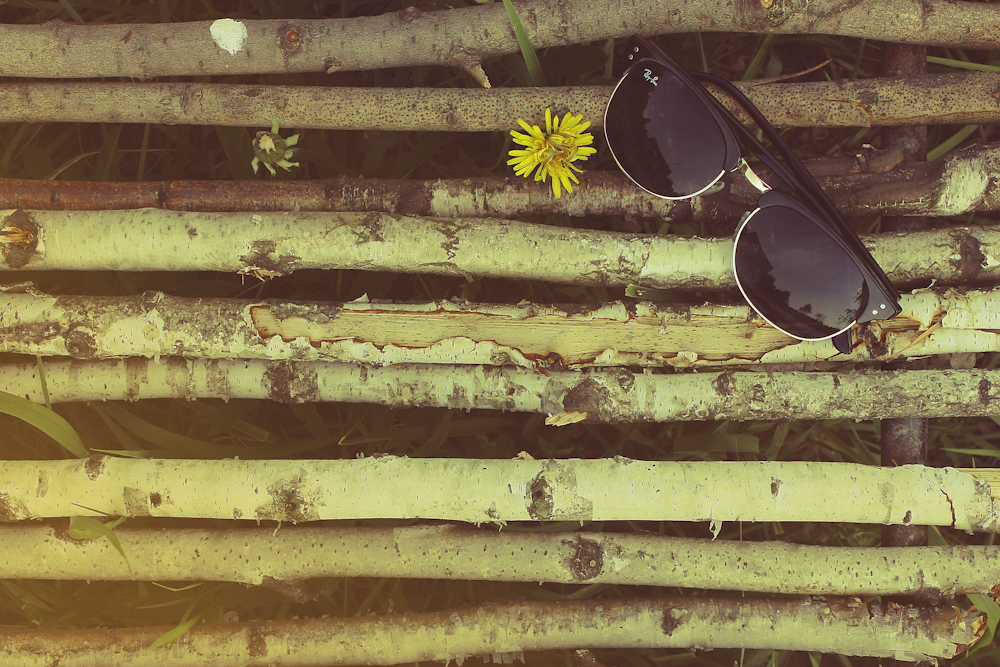 black framed Ray-Ban Wayfarer sunglasses on wooden logs