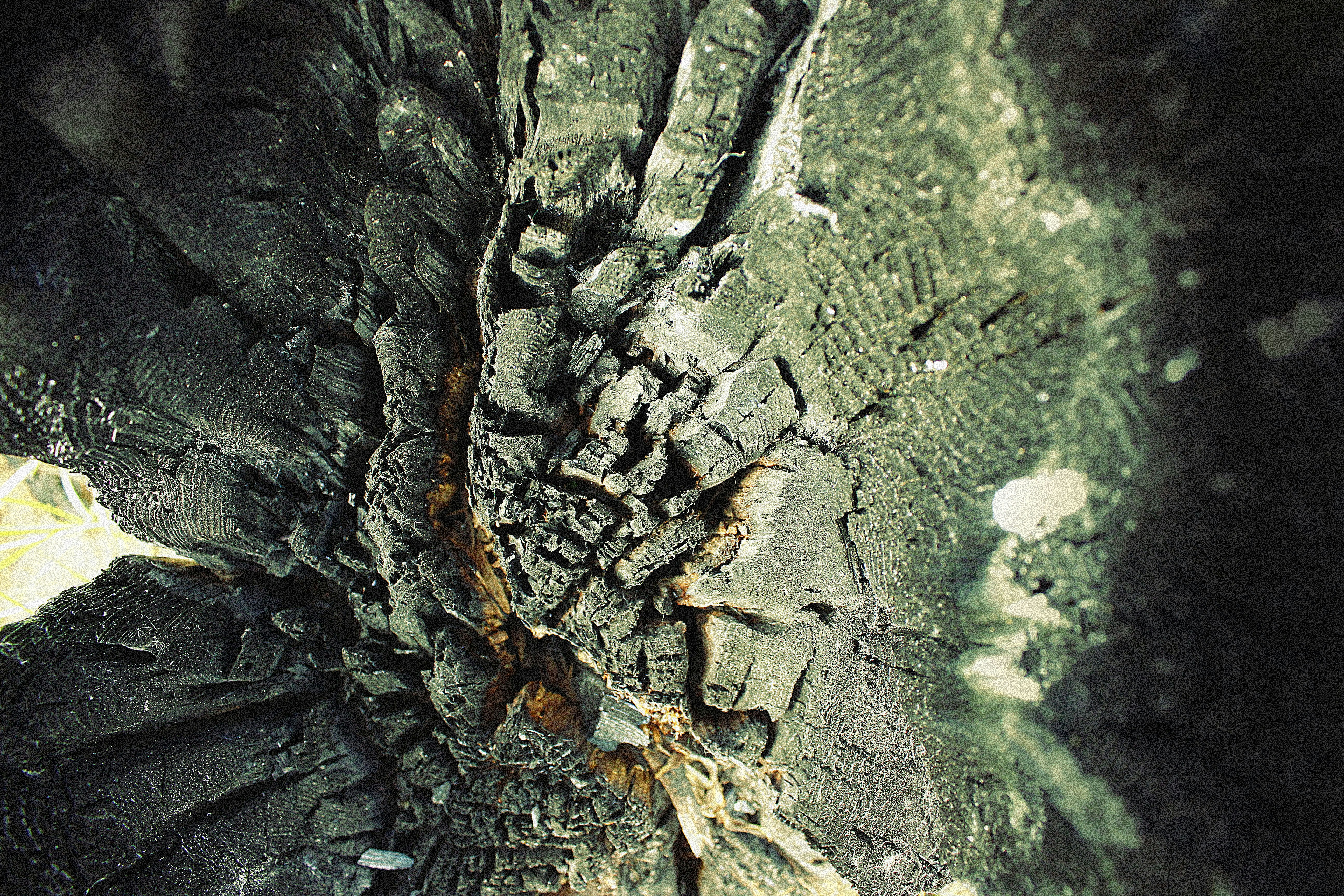 Free Unsplash photo from Boriskin Vladislav