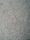A dense layer of small, light gray gravel stones covering the ground. The stones are uniformly spread, creating a textured surface.