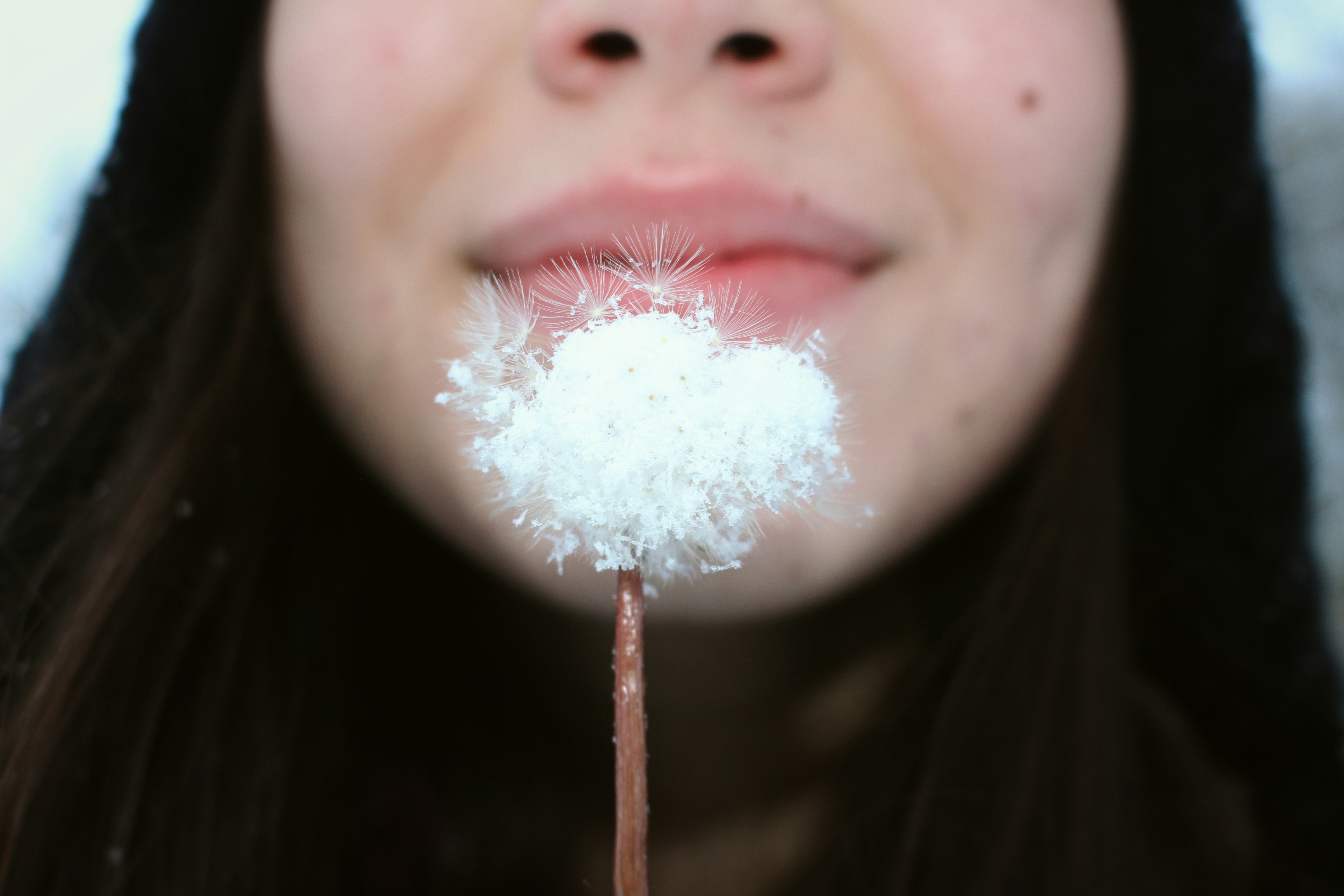 Free Unsplash photo from Katherine Murphy