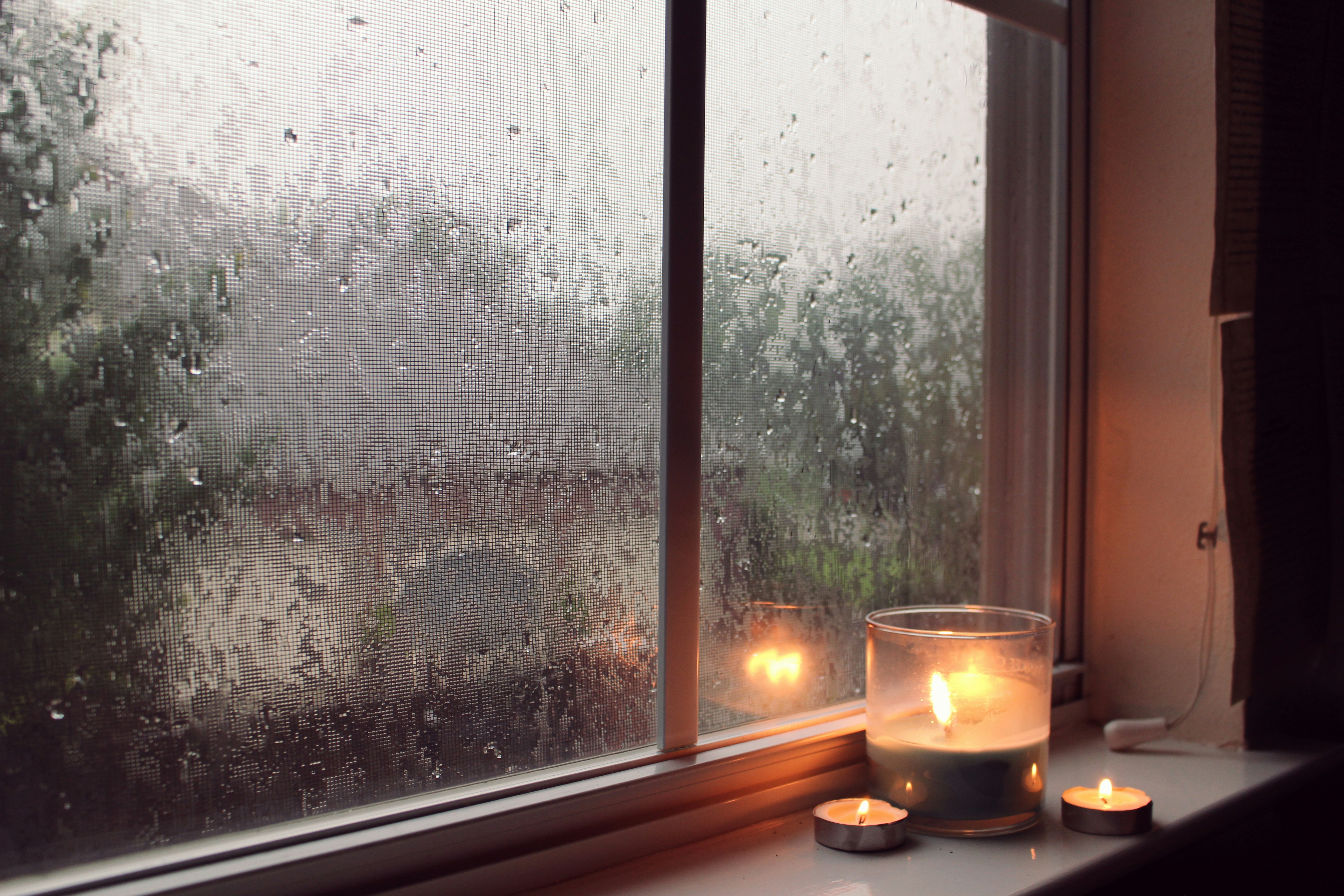 Free Unsplash photo from Katherine Murphy