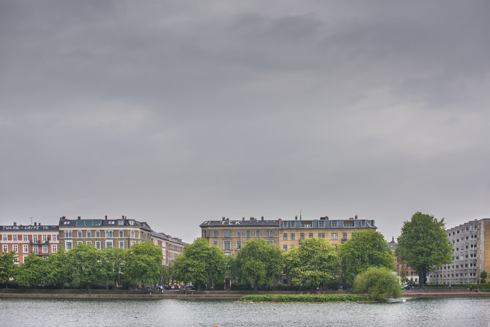 landscape photography of green trees