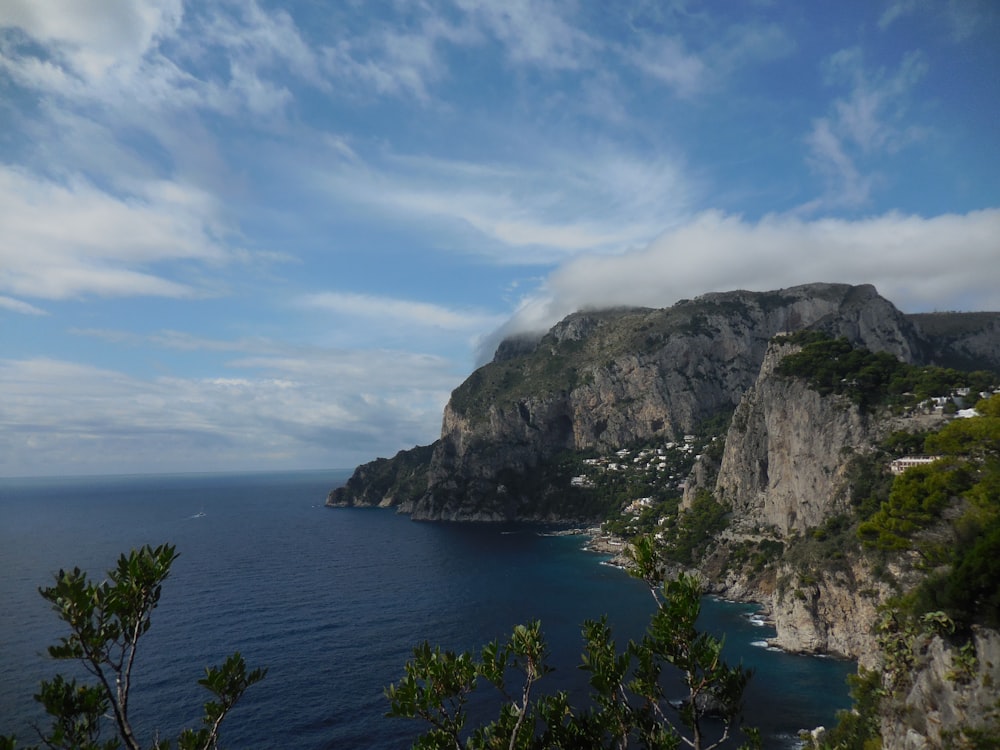 cliff surrounded with bushes under cirrus clouds