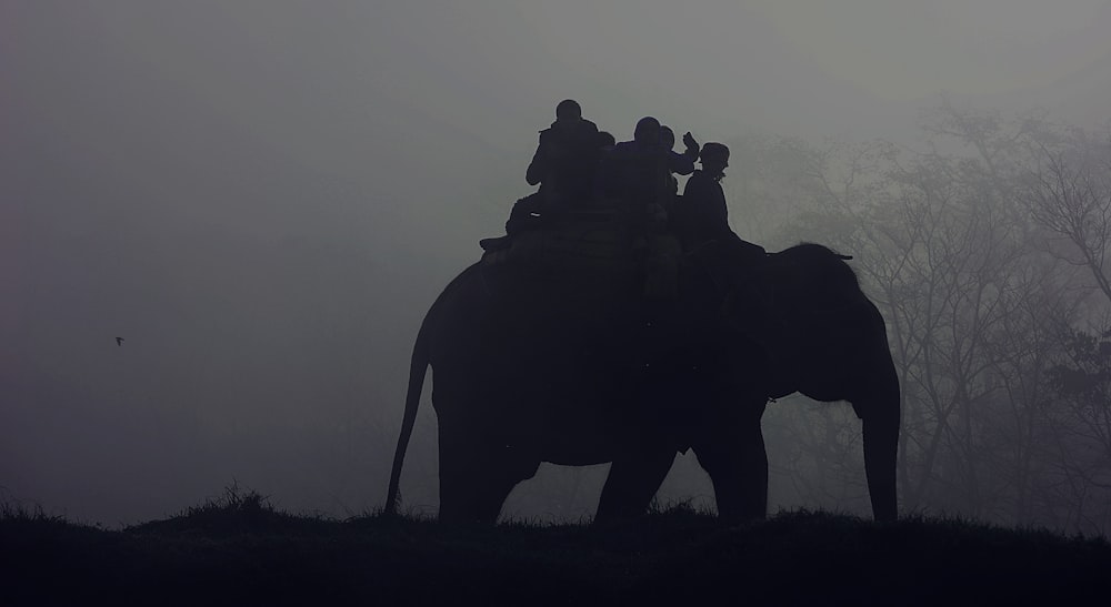 Silhouette von Menschen, die auf einem Elefanten reiten