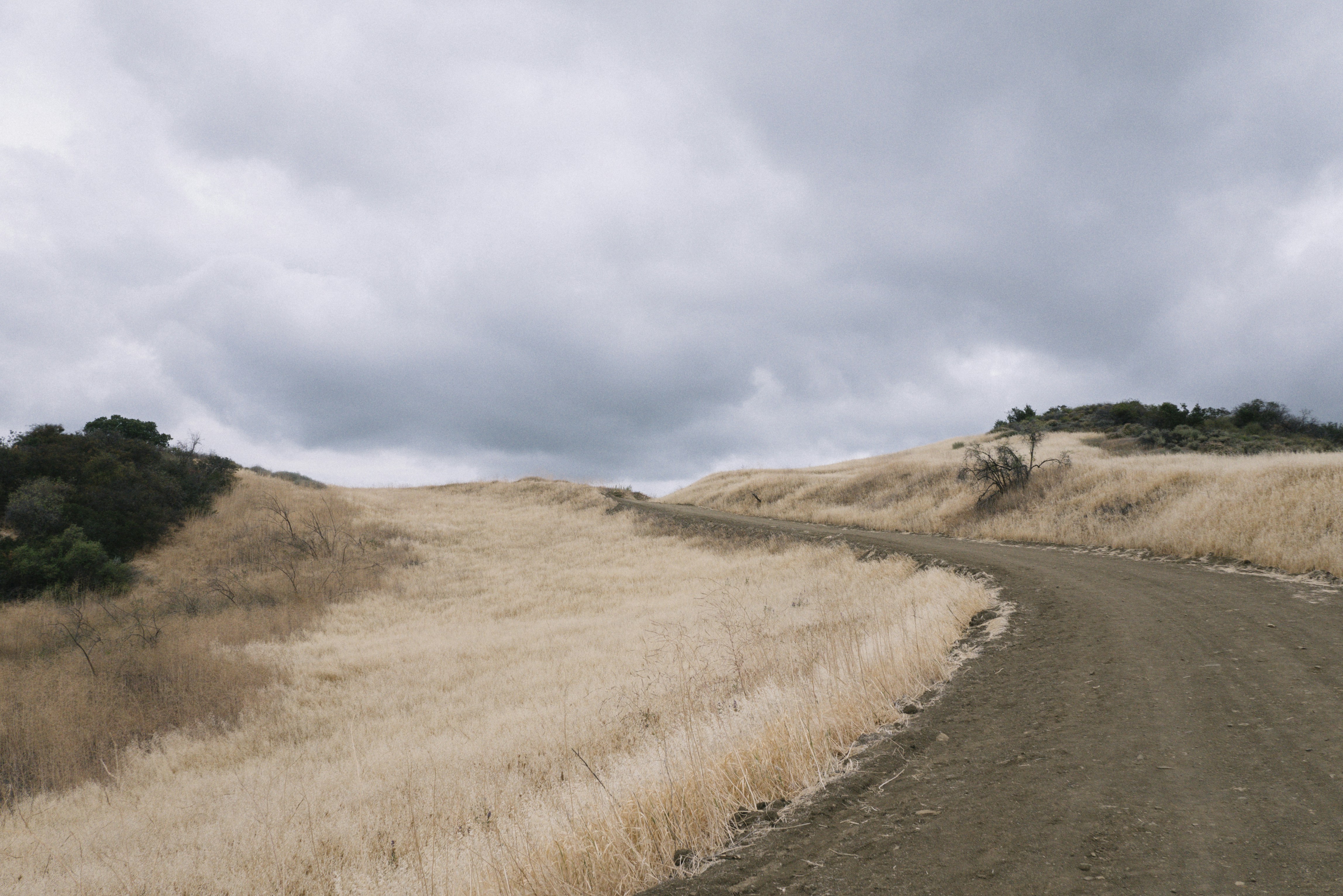 Free Unsplash photo from Justin Leibow