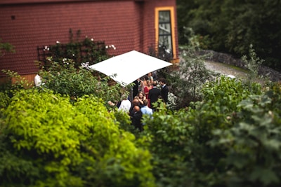 A small group of people gather under a white canopy in a lush garden next to a building with a brown tiled roof and large window. The scene is surrounded by dense green foliage, creating an intimate and natural setting.
