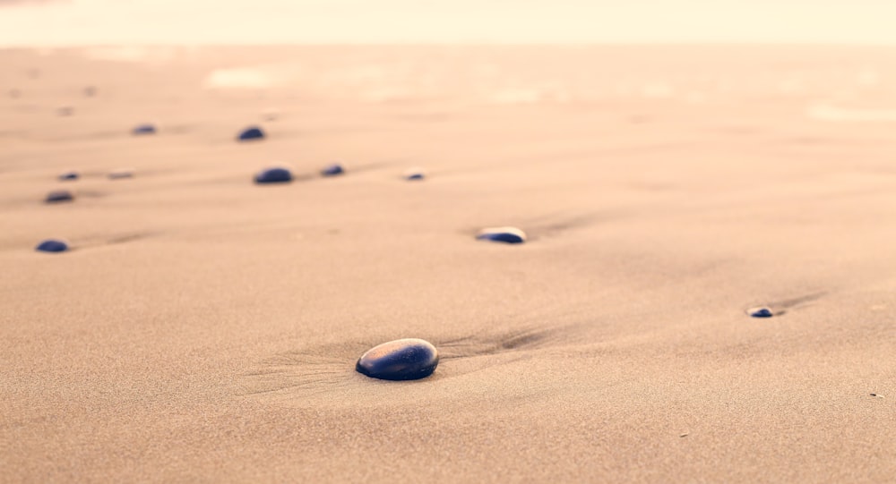 fotografia em closeup de pedras pretas na areia durante o dia