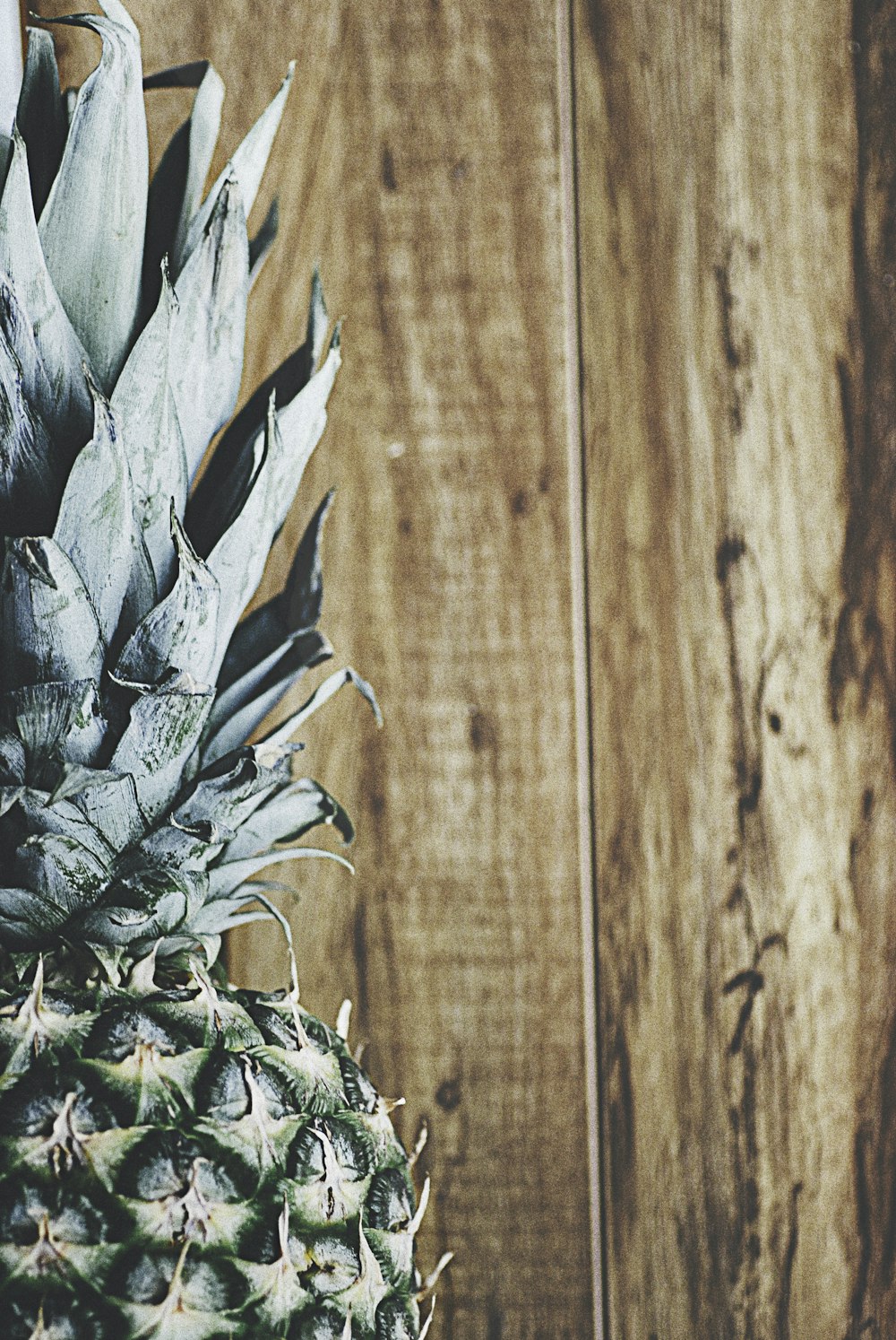 closeup photography of green pineapple and brown wooden planks